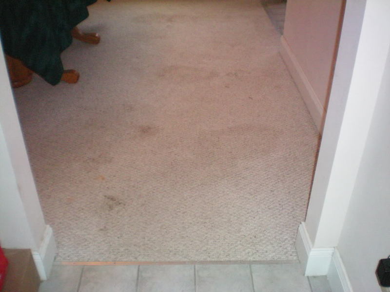 100_0202.jpg
