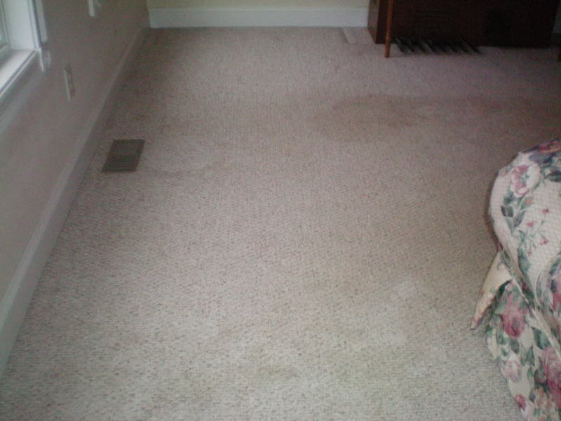 100_0205.jpg