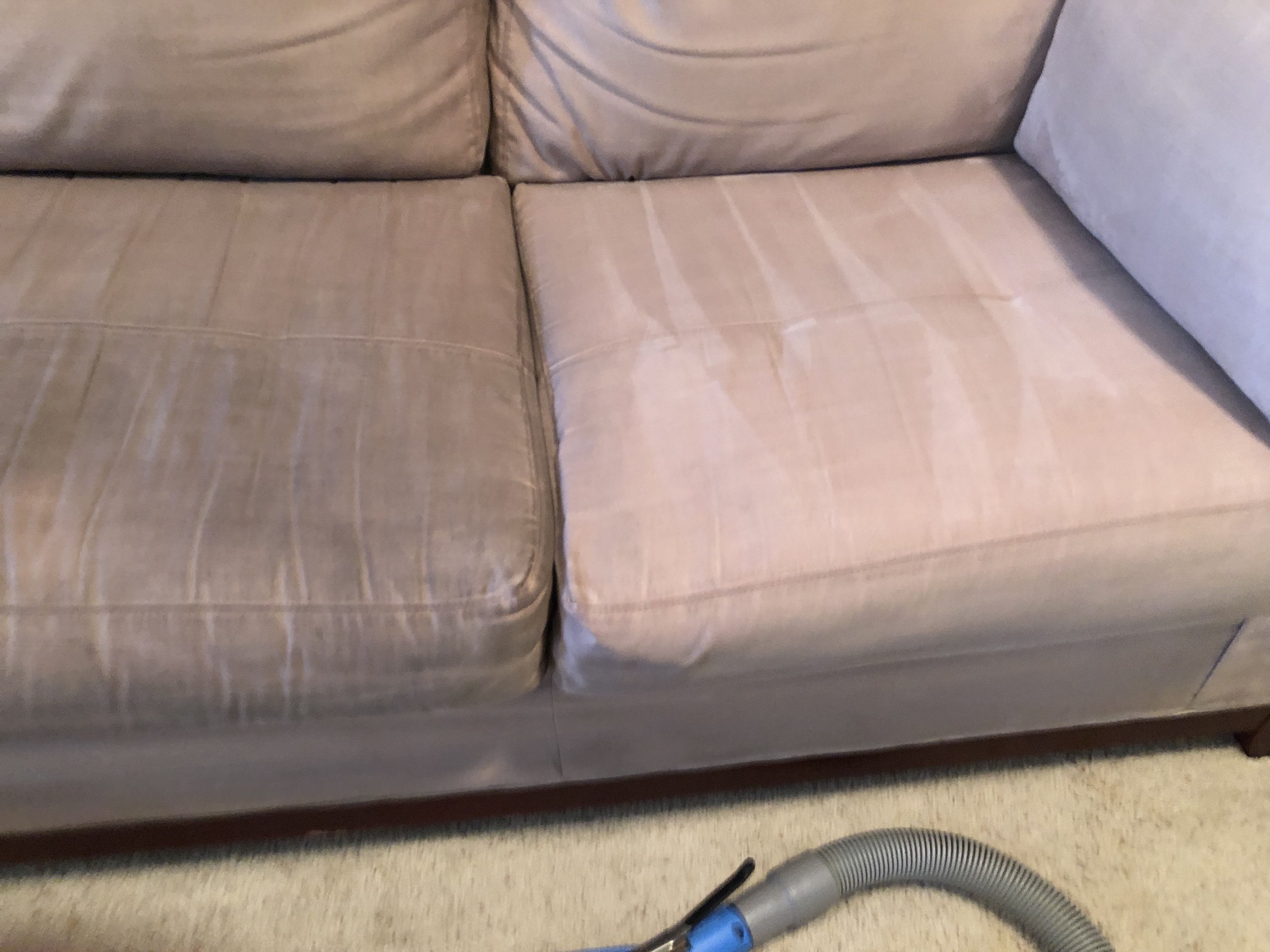 10880916-3435-4FDE-AE8E-799BF2518893.jpeg