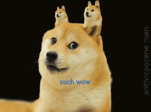 1621559328934.gif