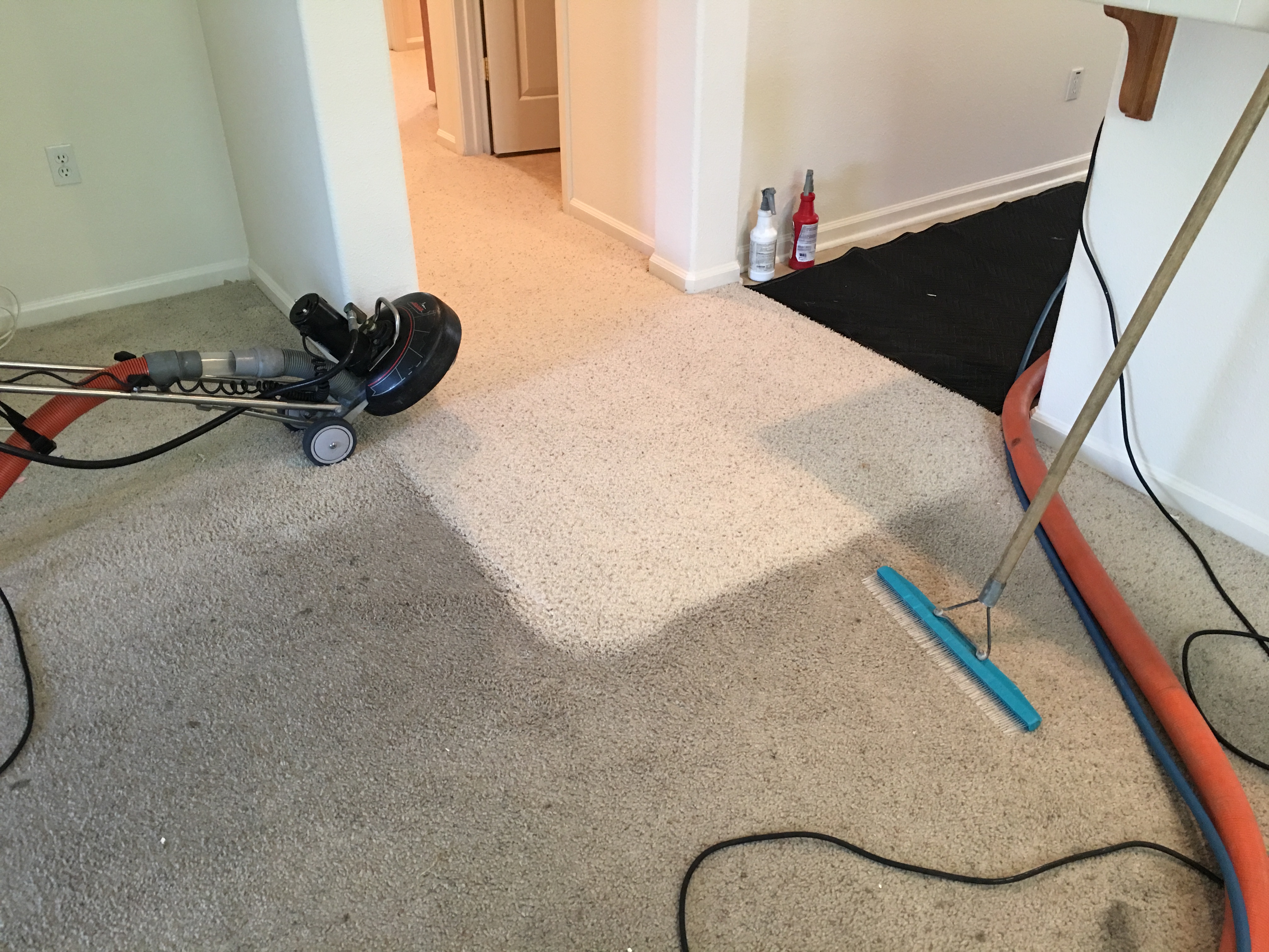 178E0E35-DE84-4864-8D26-3B11D79E310D.jpeg