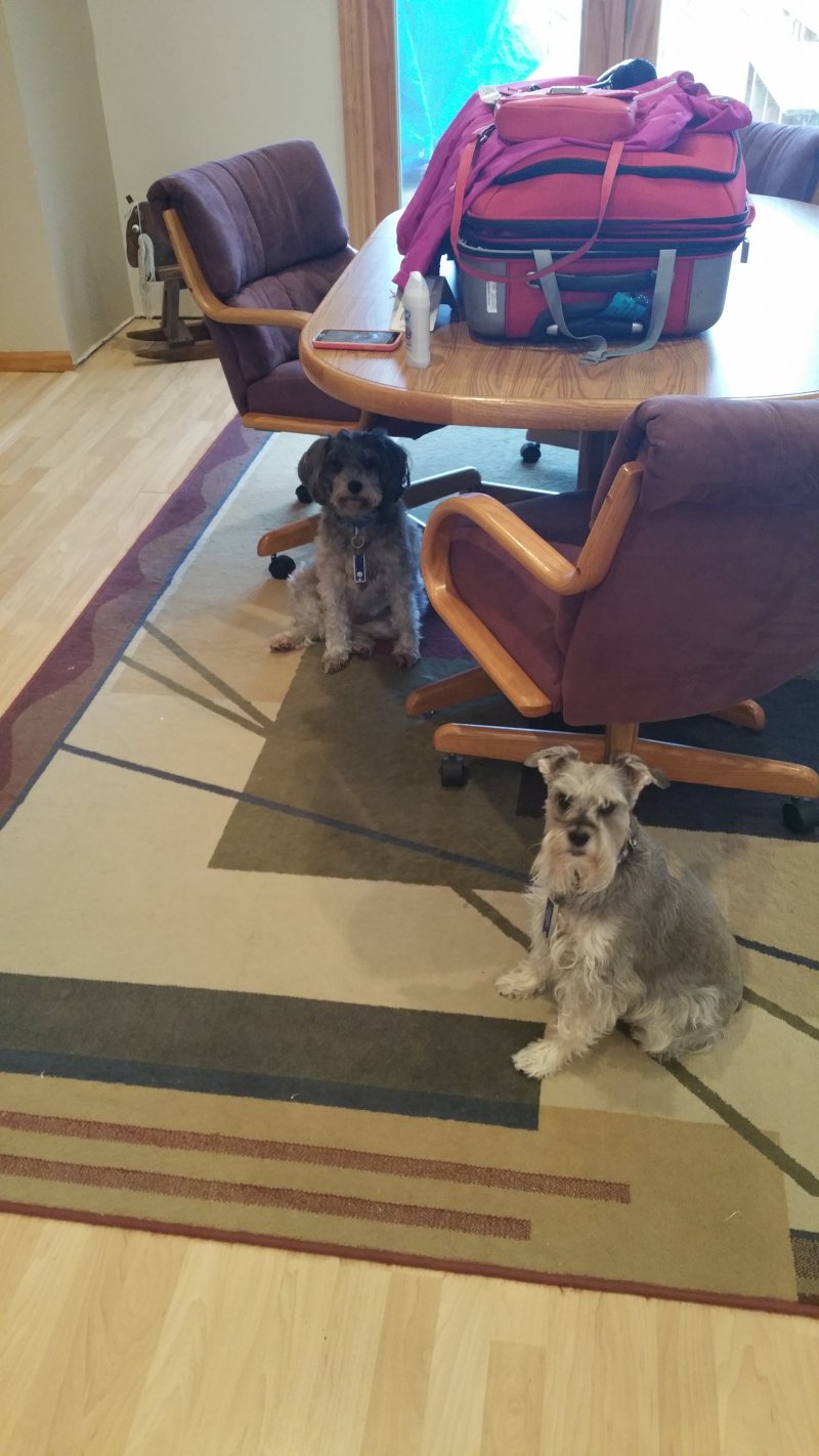 2015-04-25 07.36.16.jpg