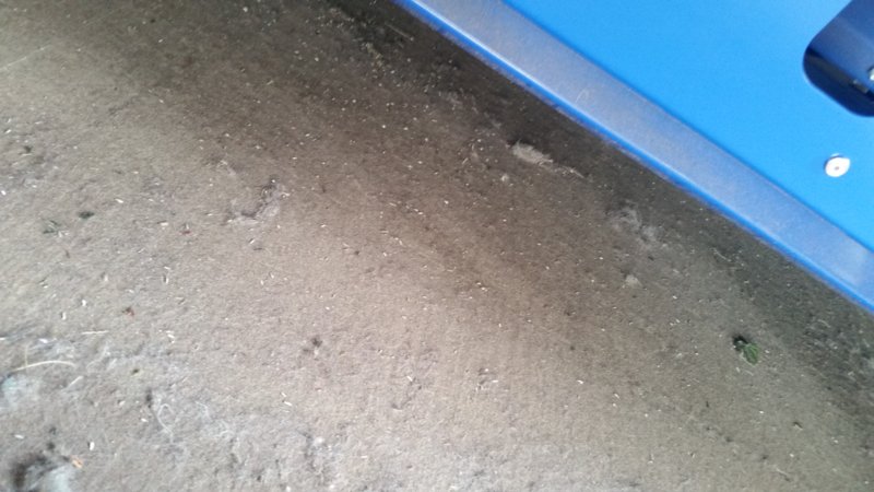 20160512_140114_1463076918927.jpg