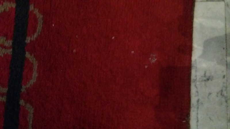 20161018_112452.jpg