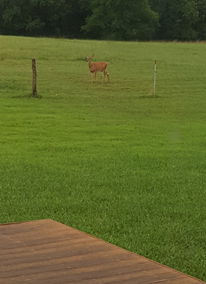 20170726_202649.jpg