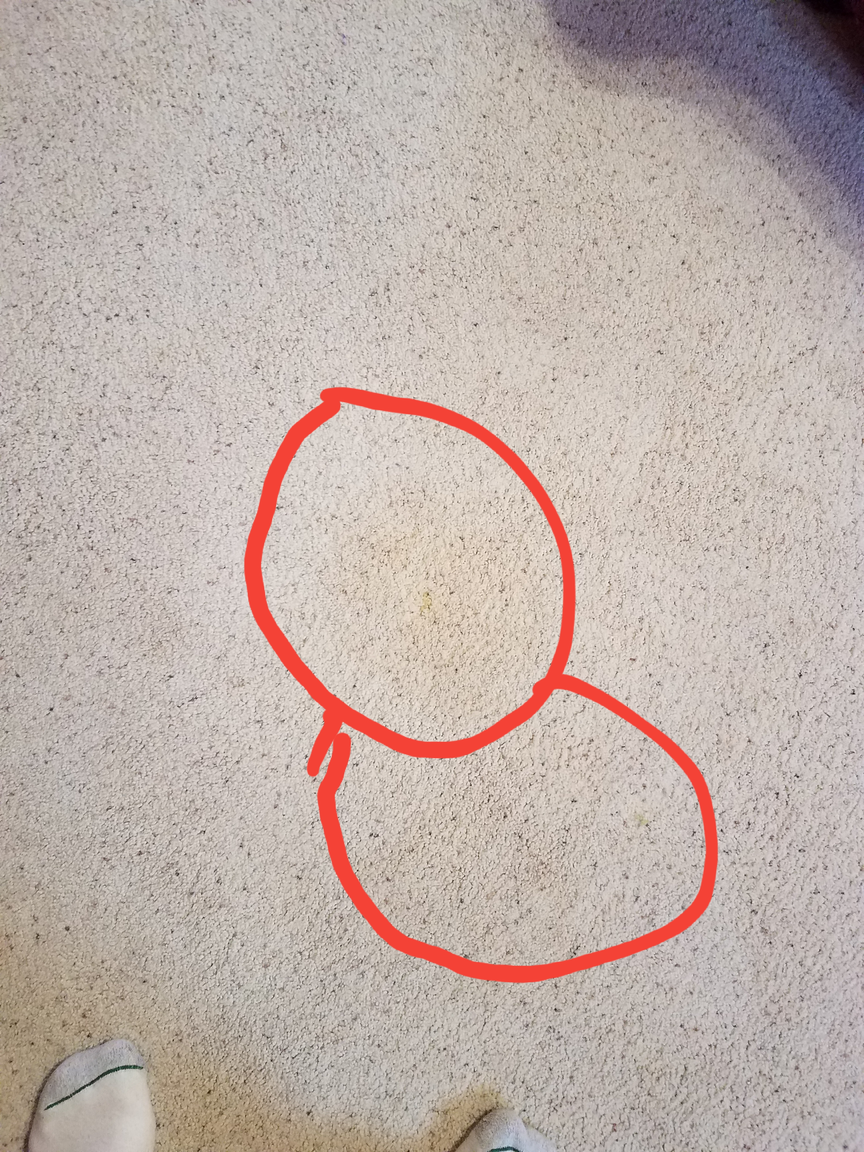 20171222_145931.jpg
