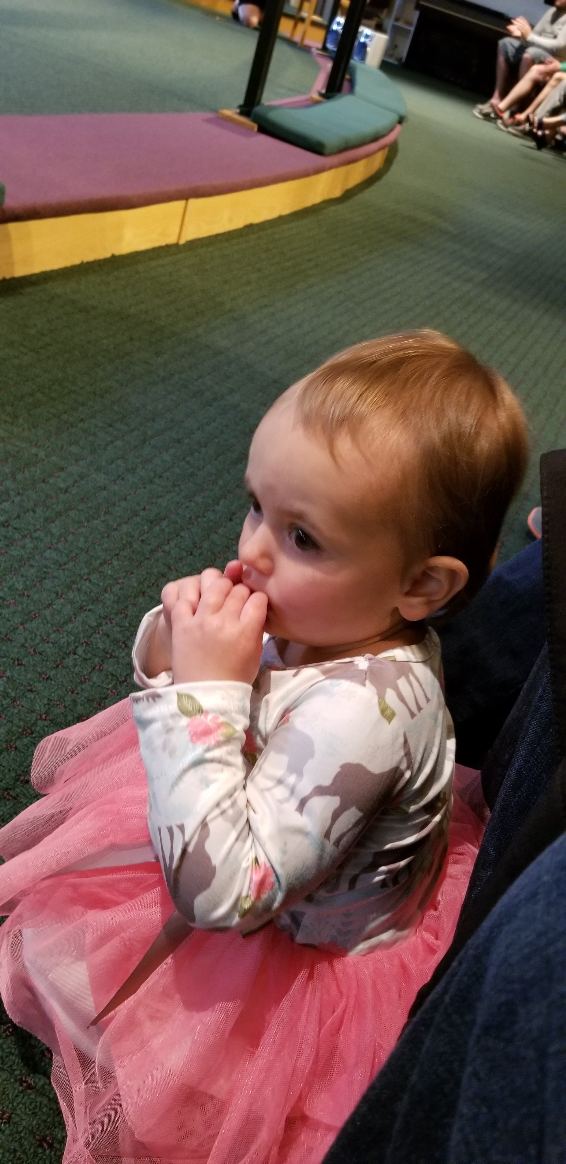 2018-05-17 19.17.23.jpg