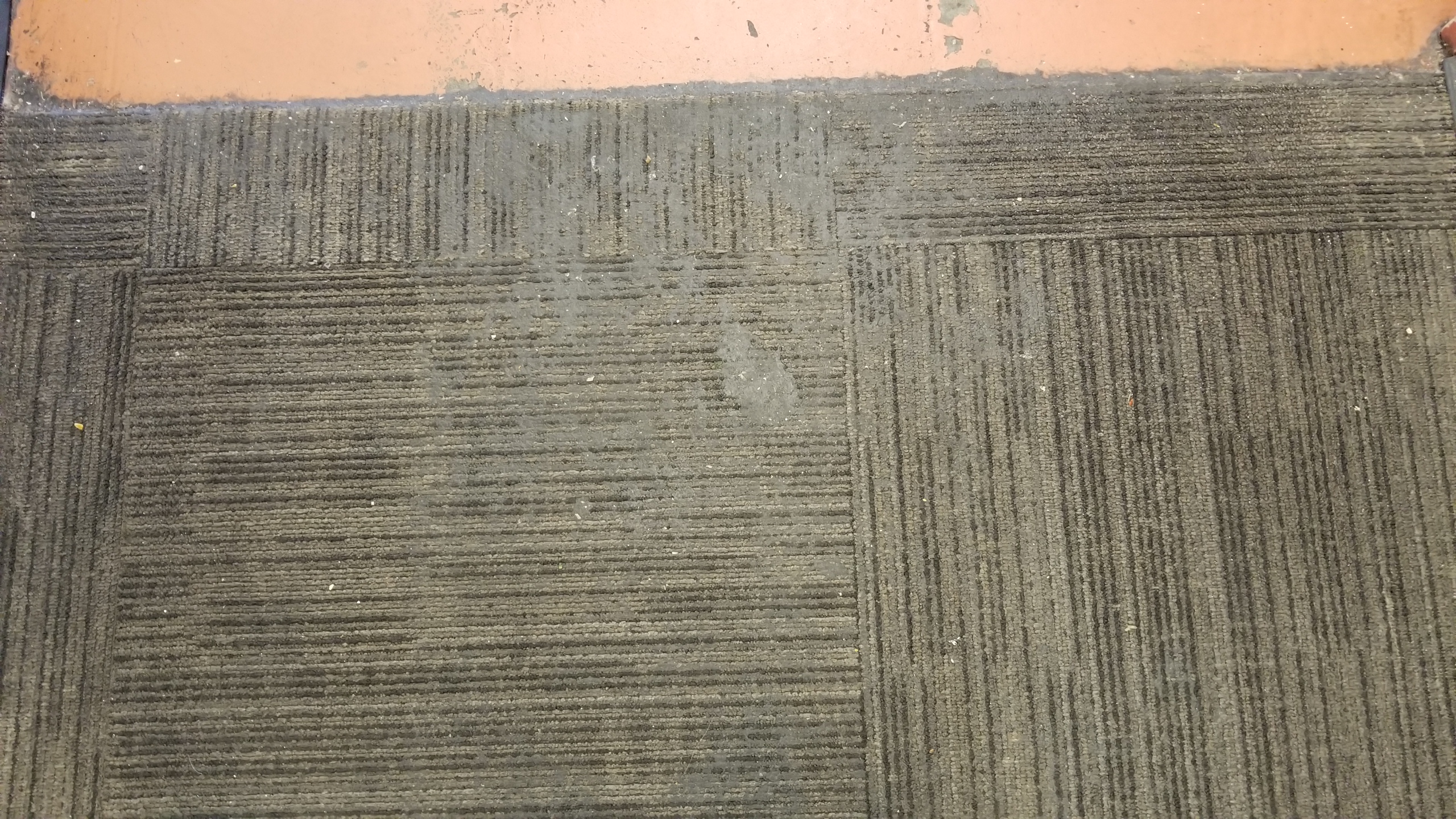 20180206_150142.jpg