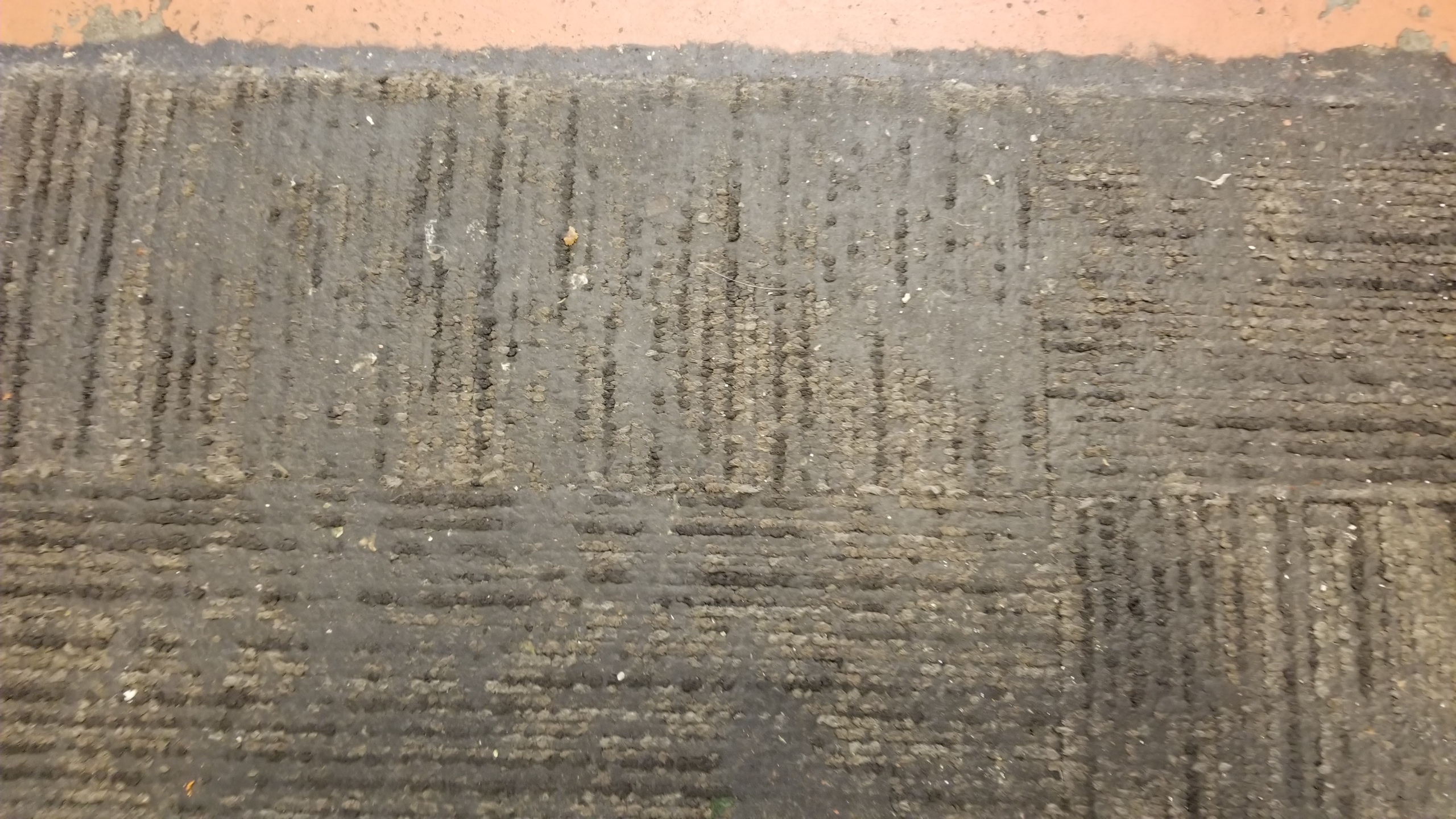 20180206_150146.jpg