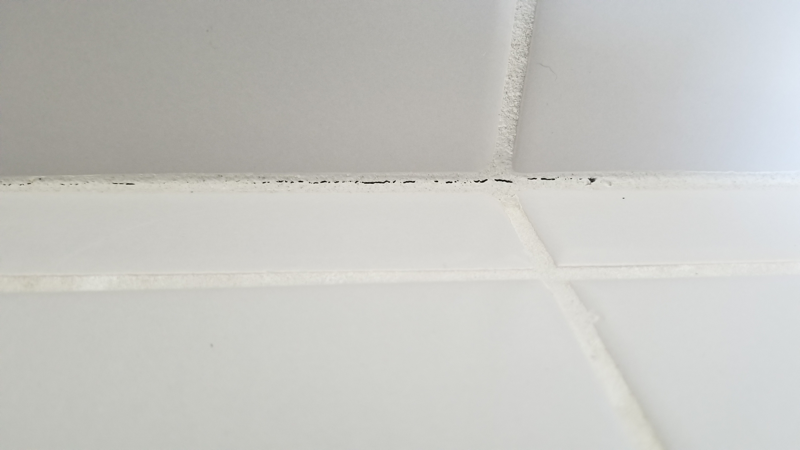20180303_110043.jpg
