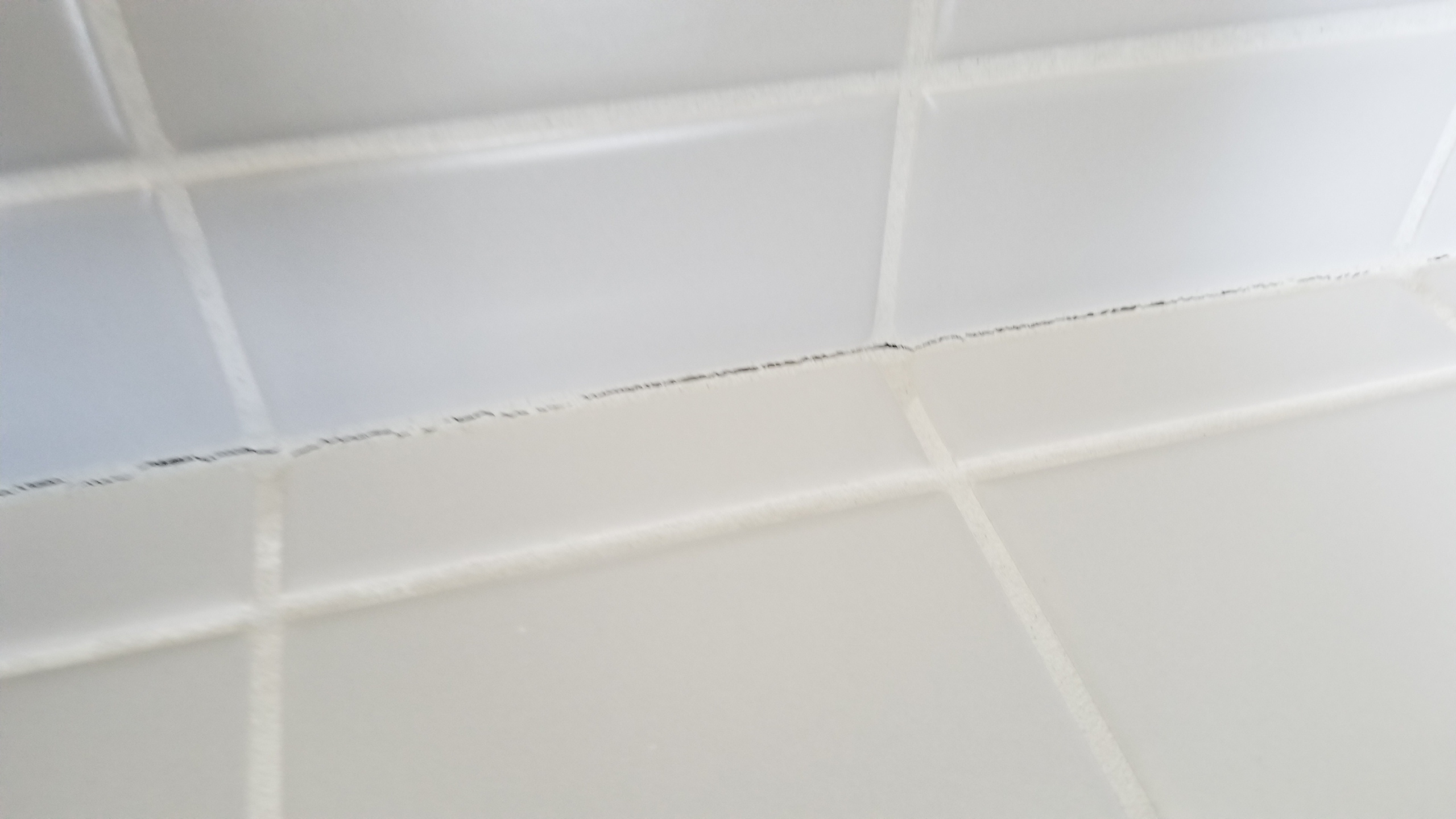 20180303_110047.jpg