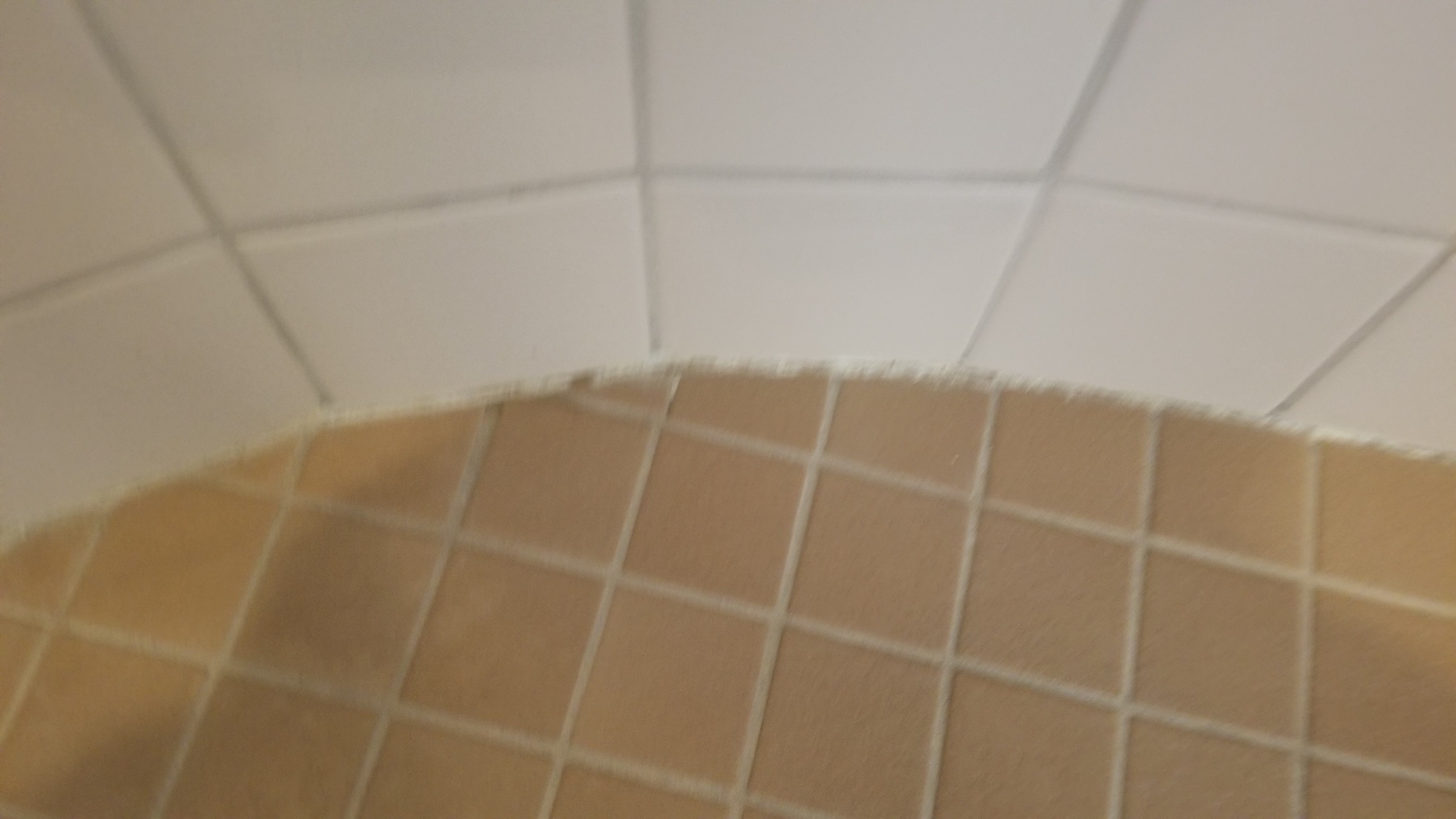 20180303_110204.jpg