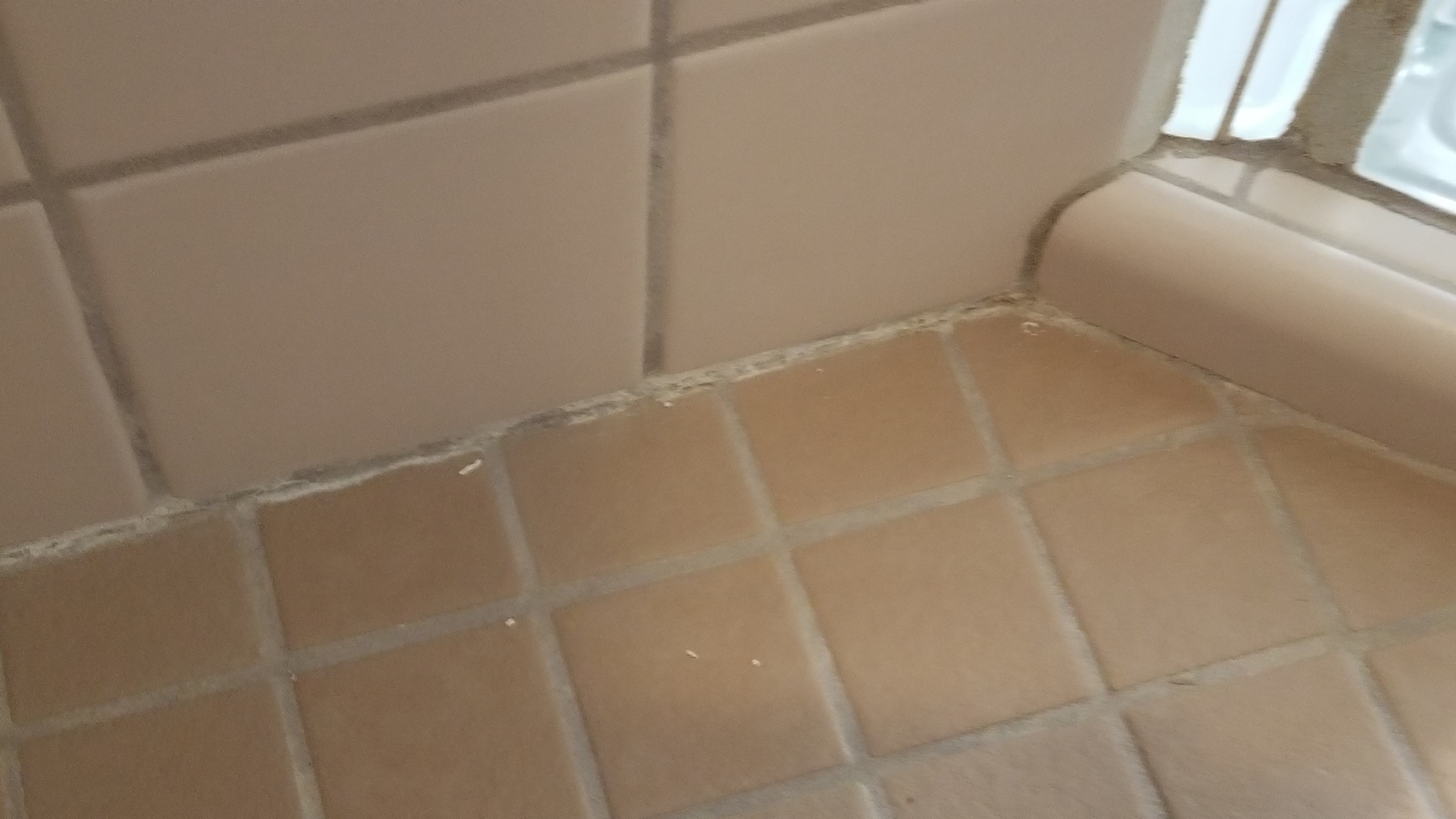 20180303_110210.jpg