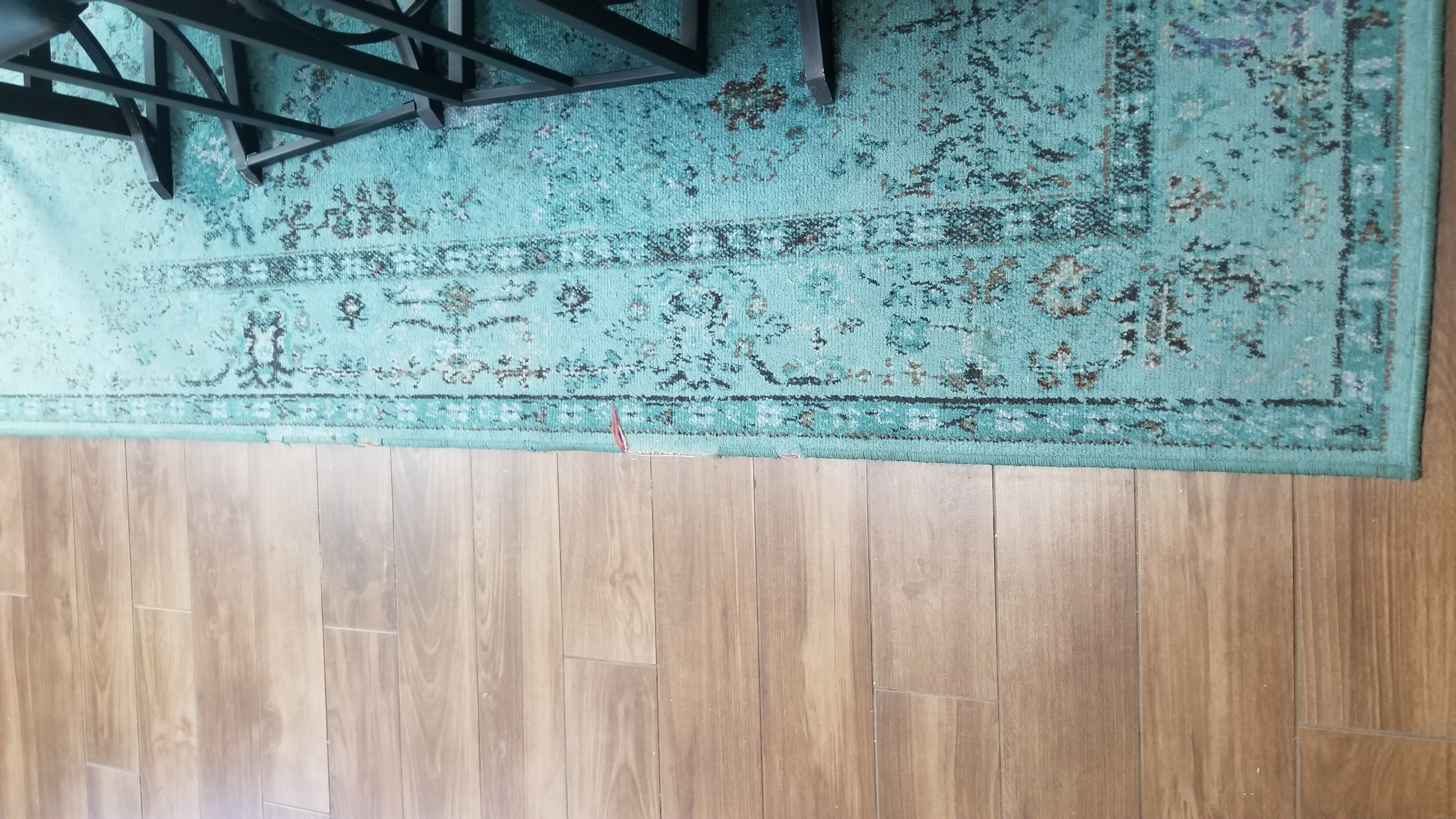 20180305_095649.jpg
