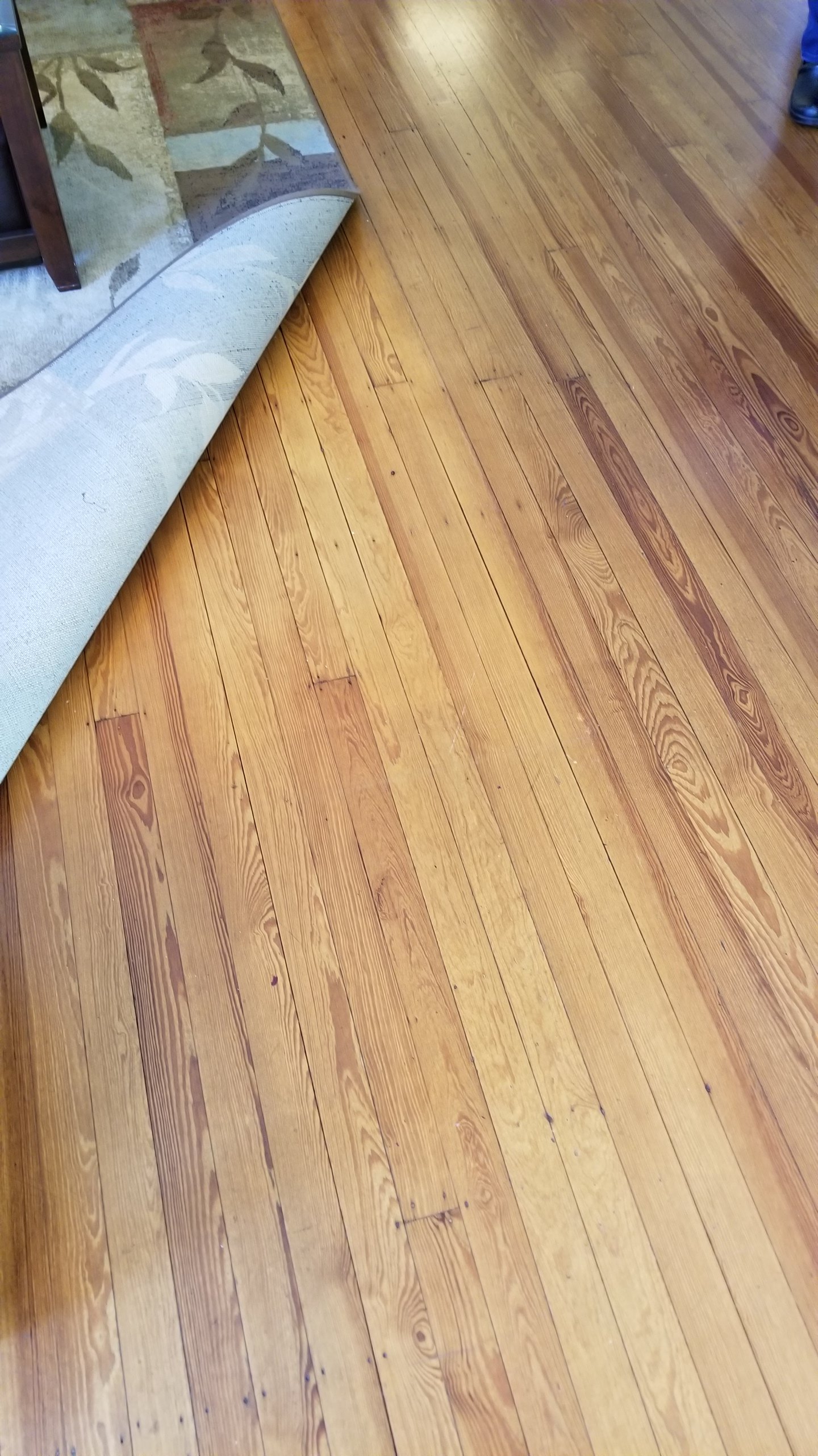 20180305_113136.jpg