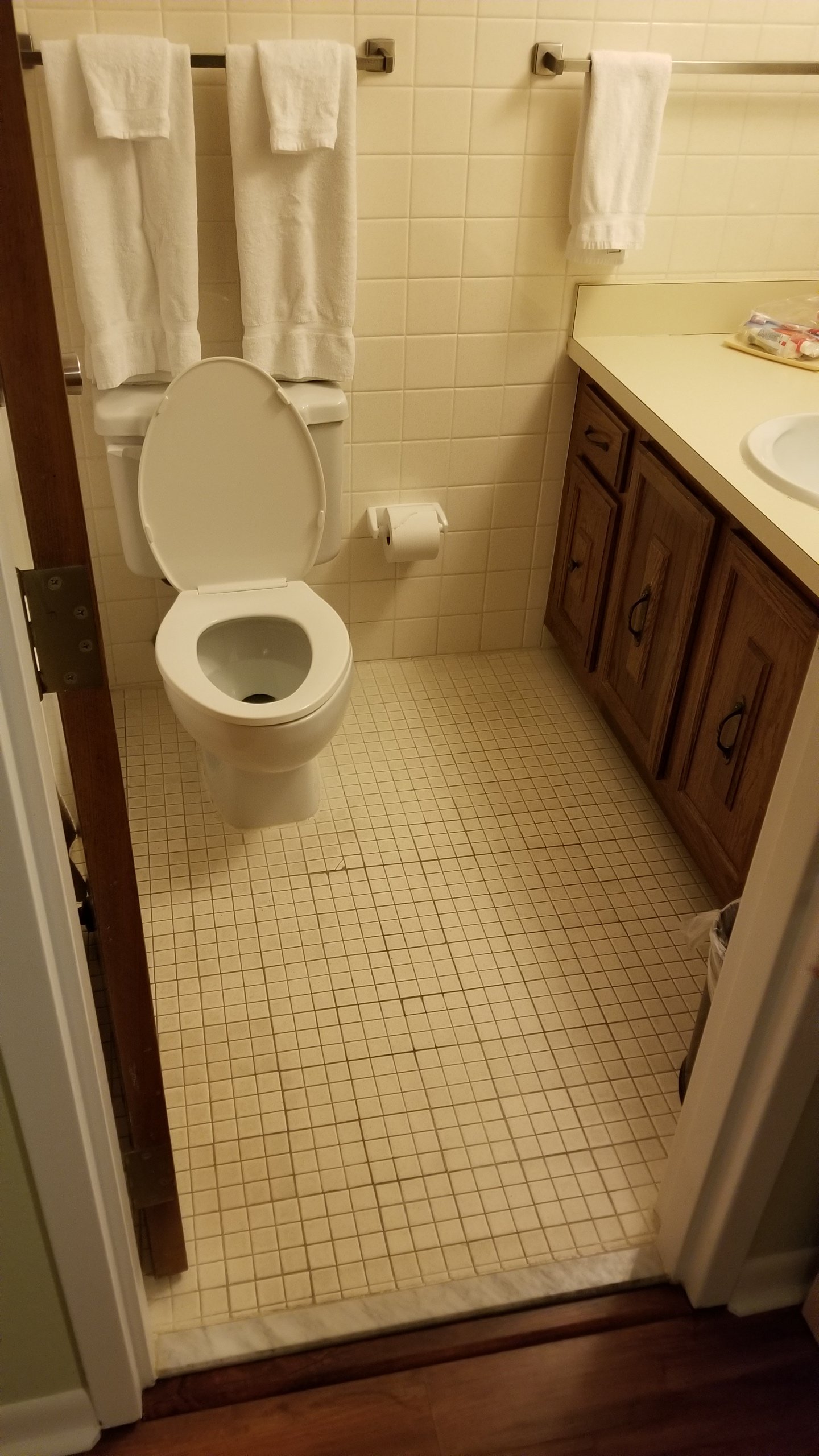 20180305_113828.jpg