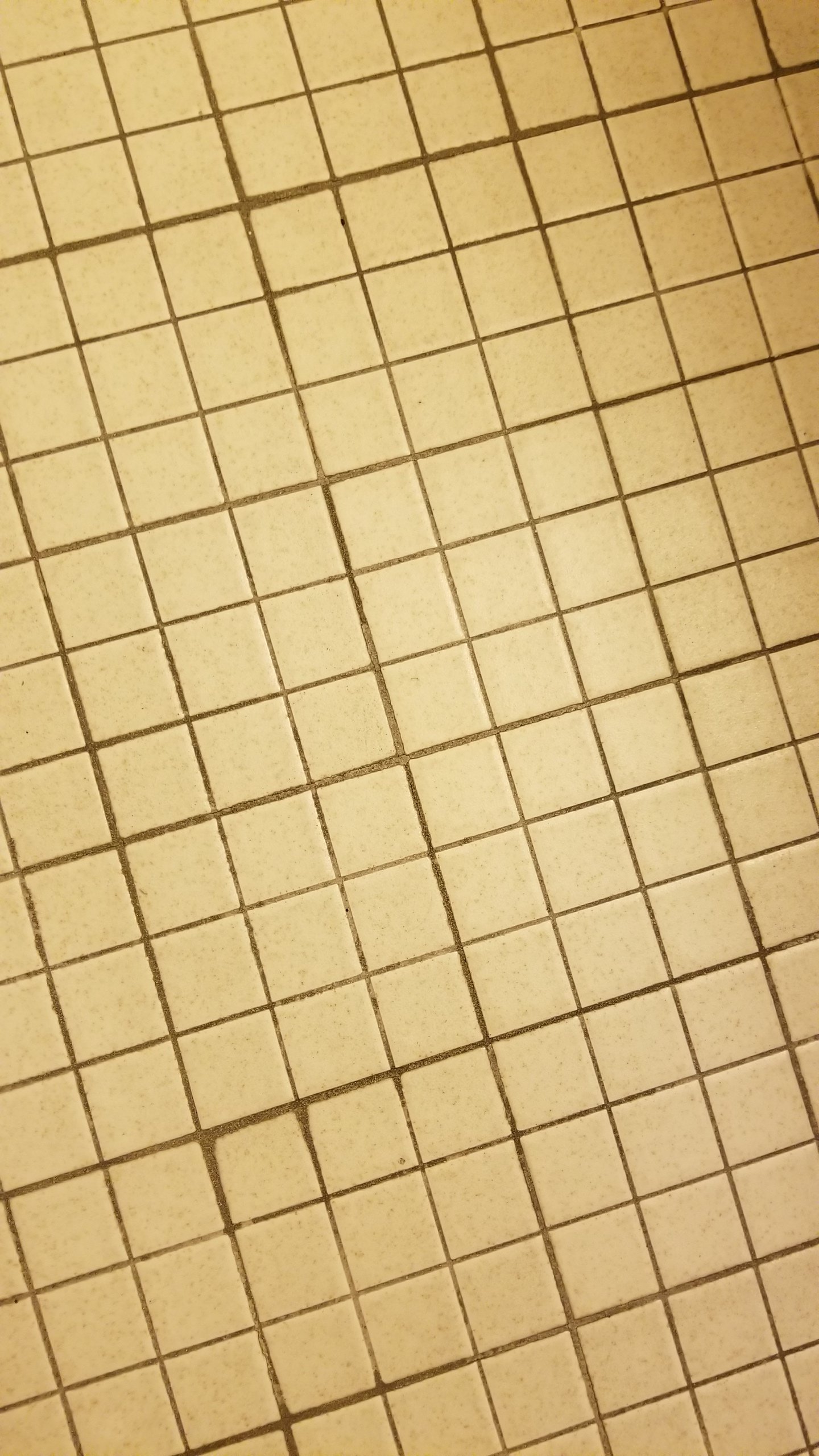 20180305_113836.jpg