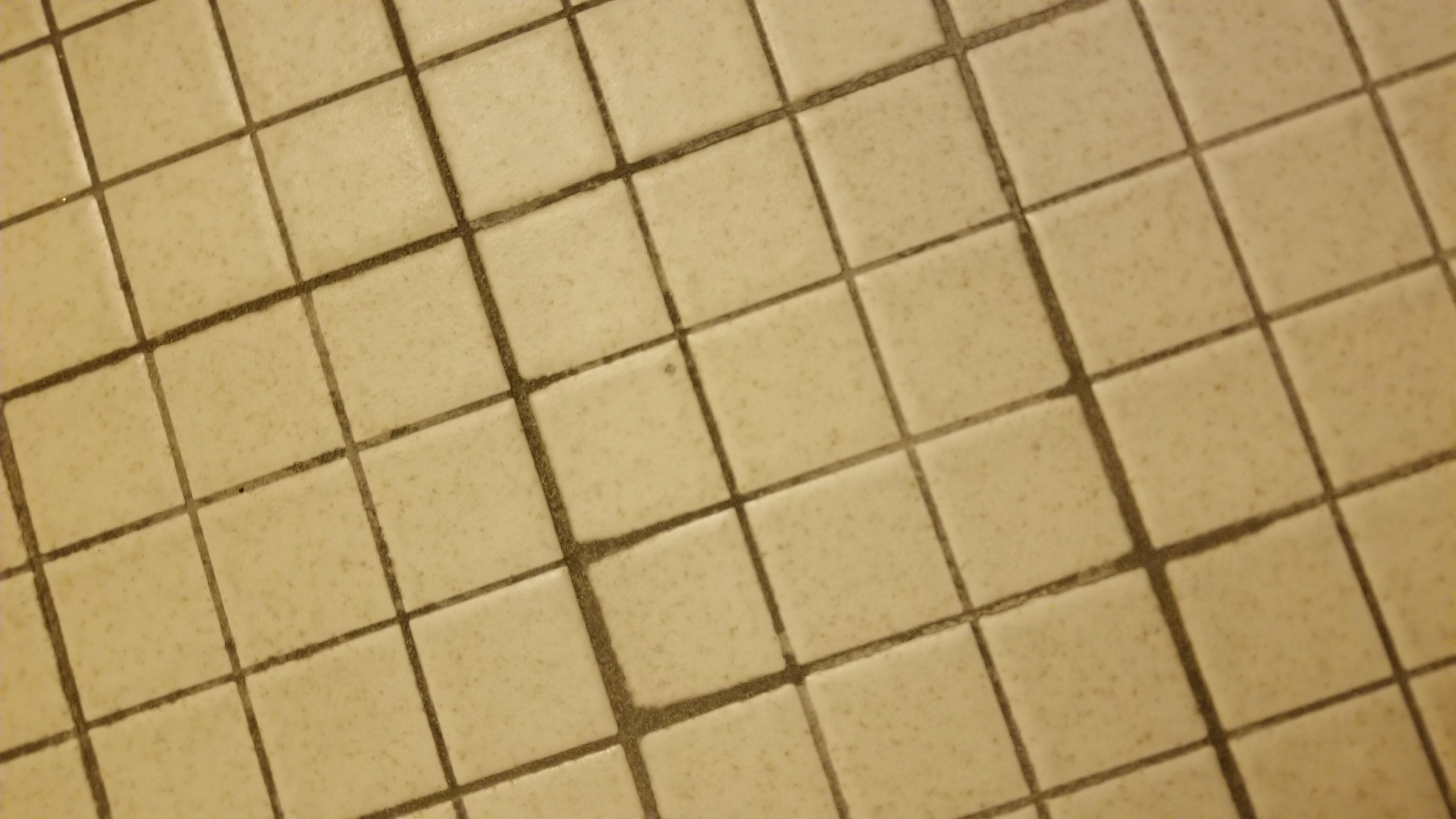 20180305_113916.jpg