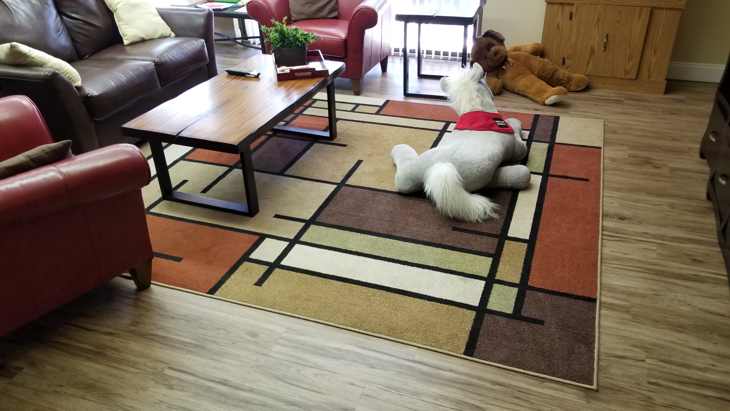 20180305_115602.jpg