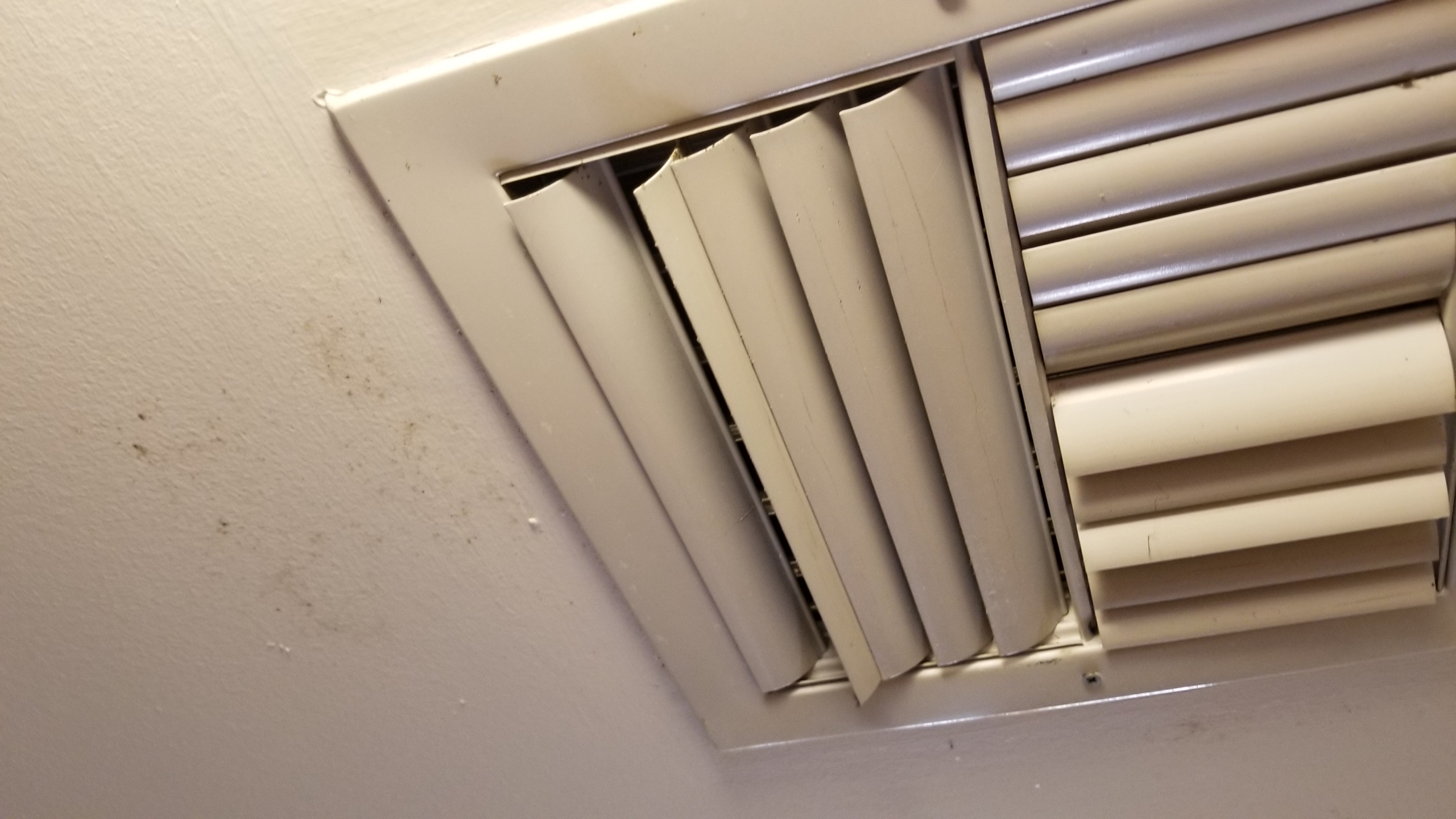 20180305_121201.jpg