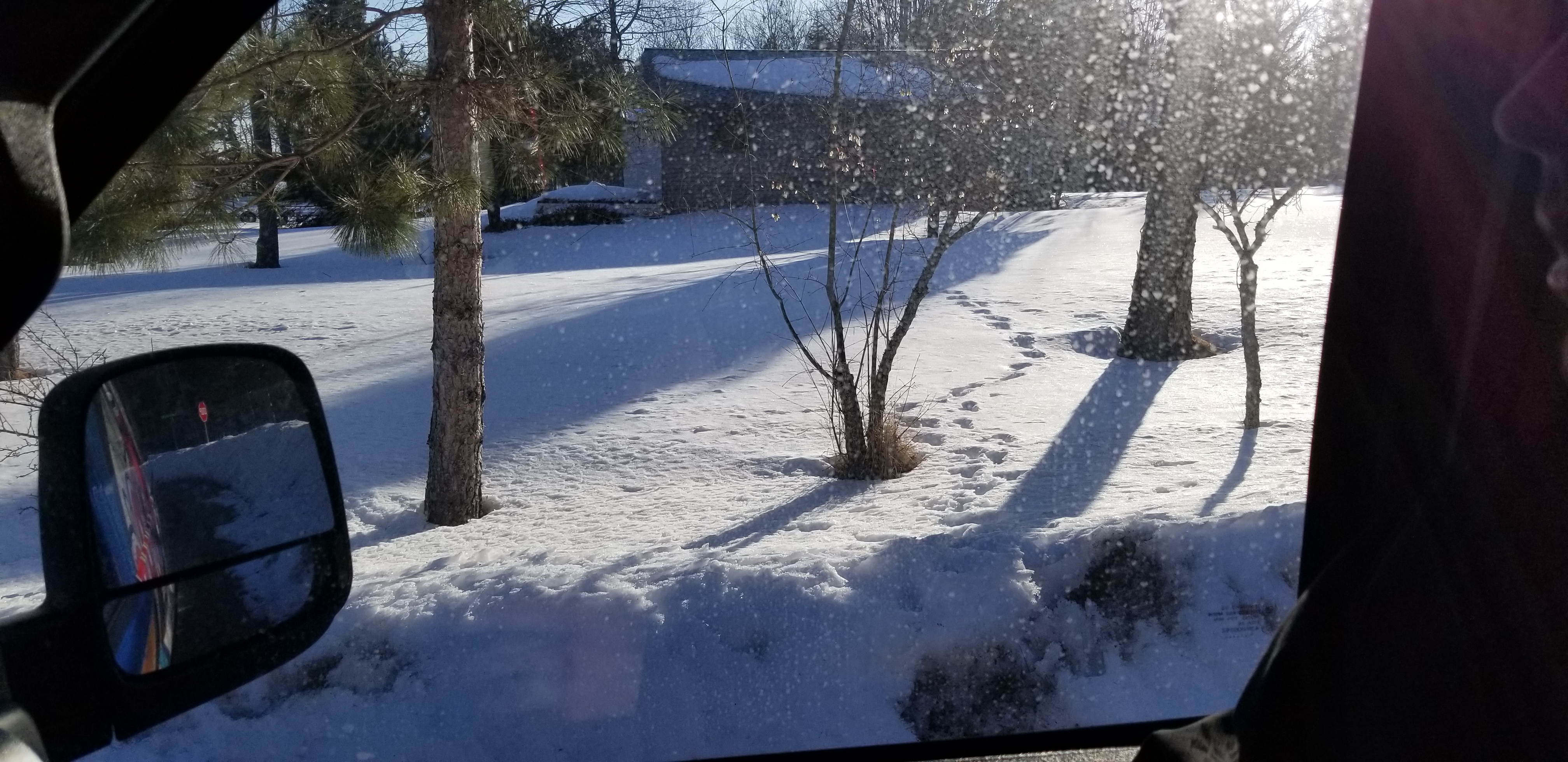 20180313_090446.jpg