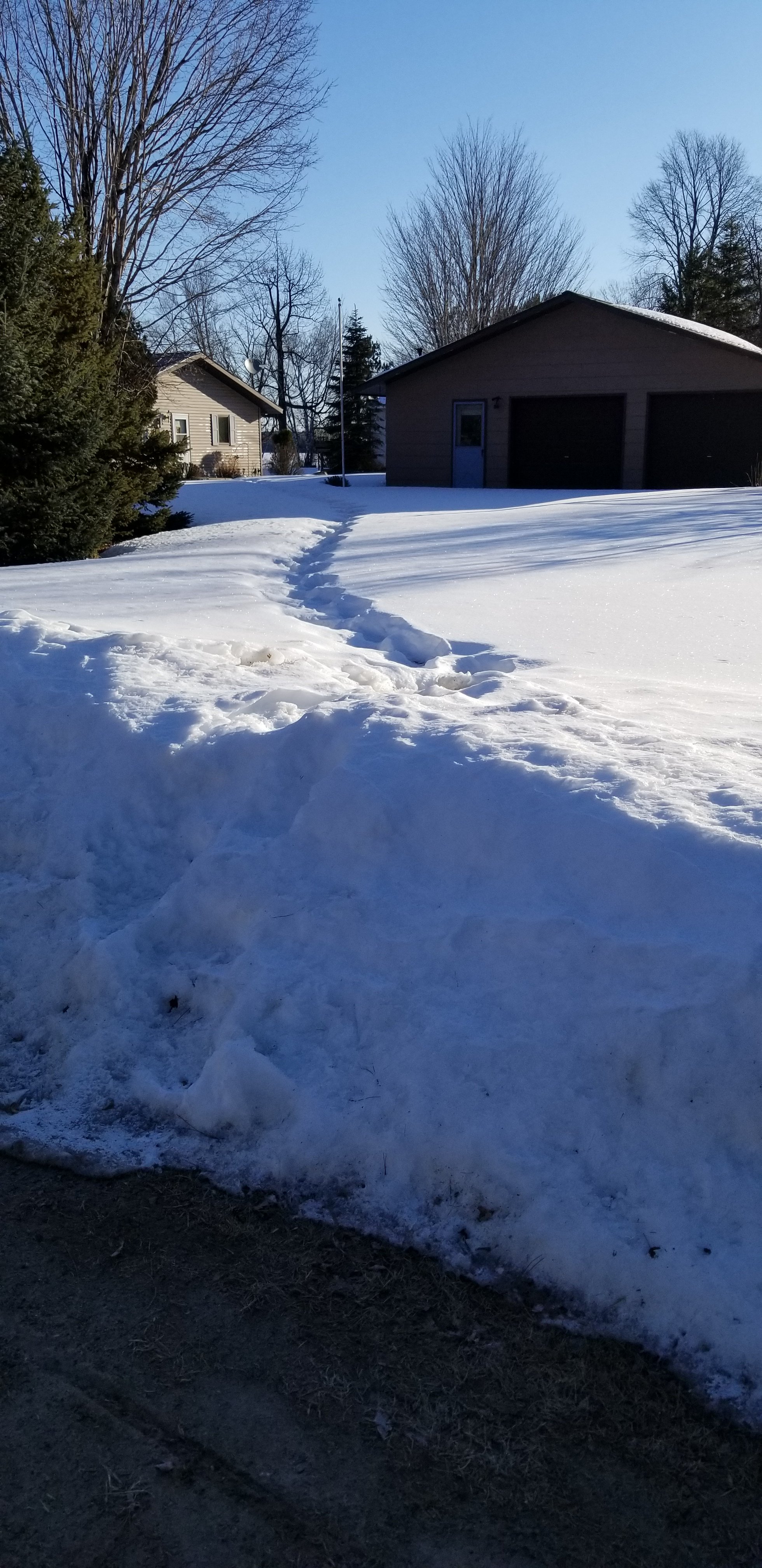 20180313_090555.jpg