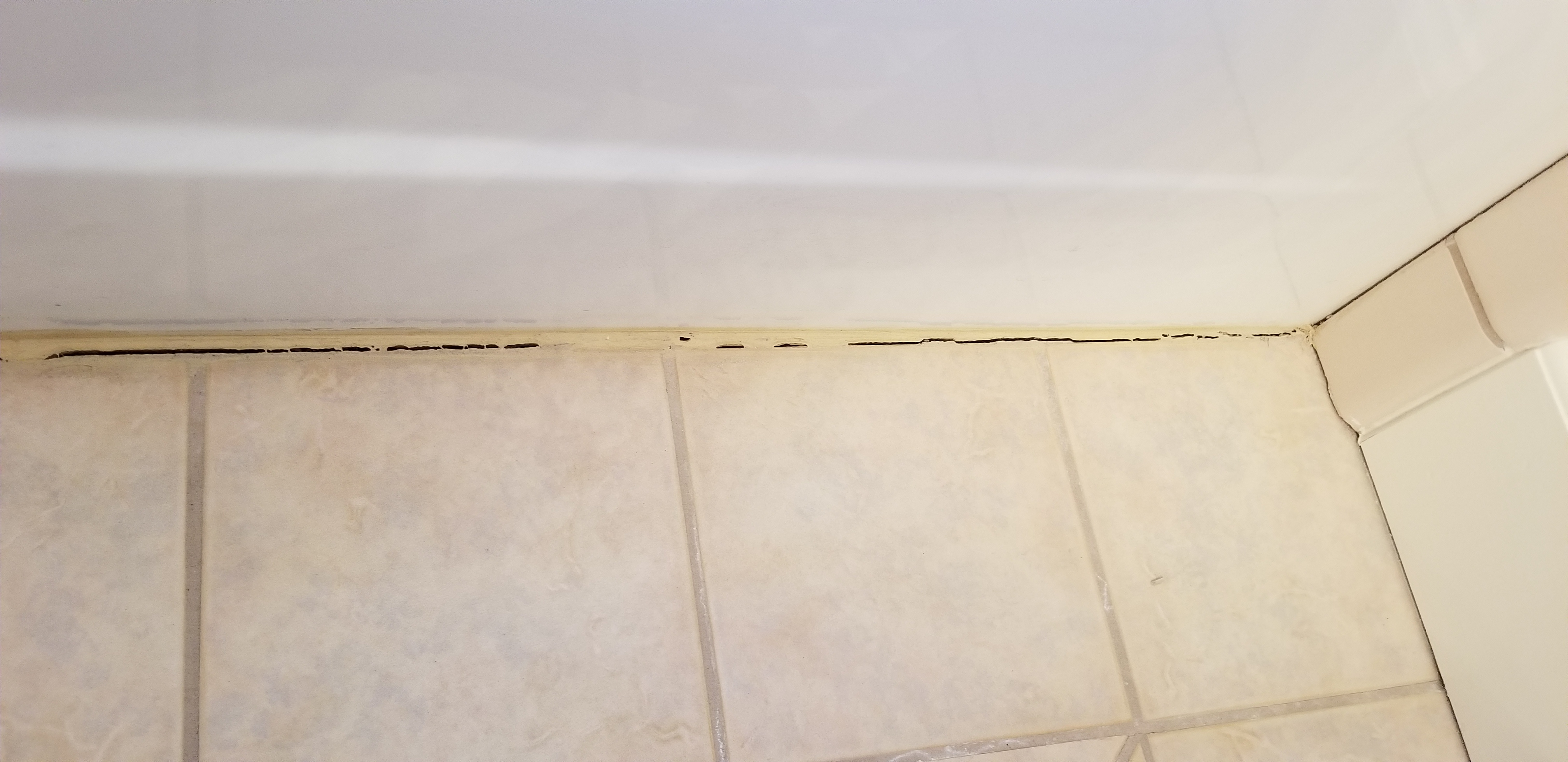 20180326_160417.jpg