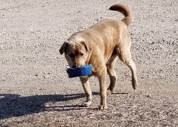 20180330_173303.jpg