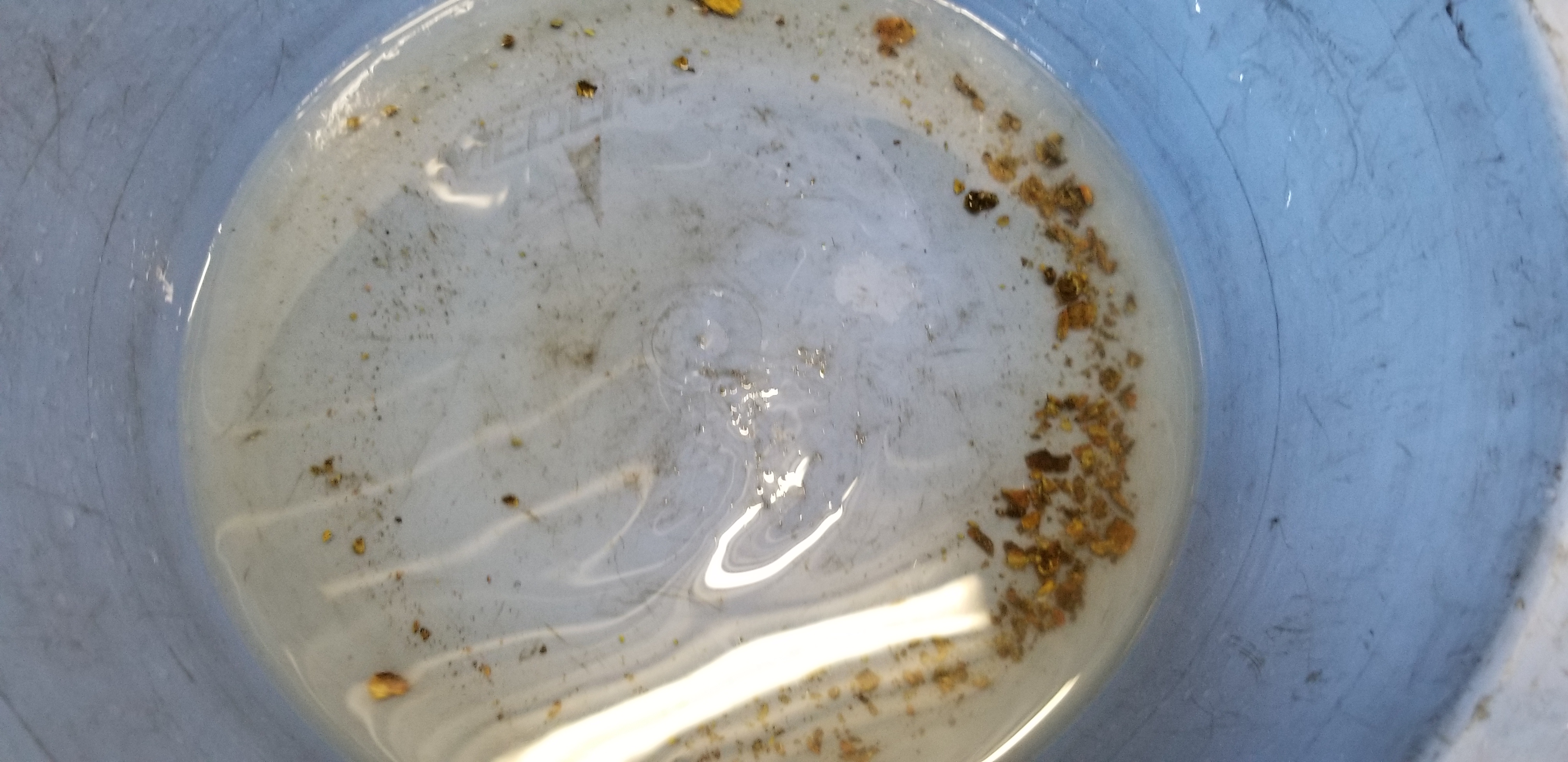 20180409_145543.jpg