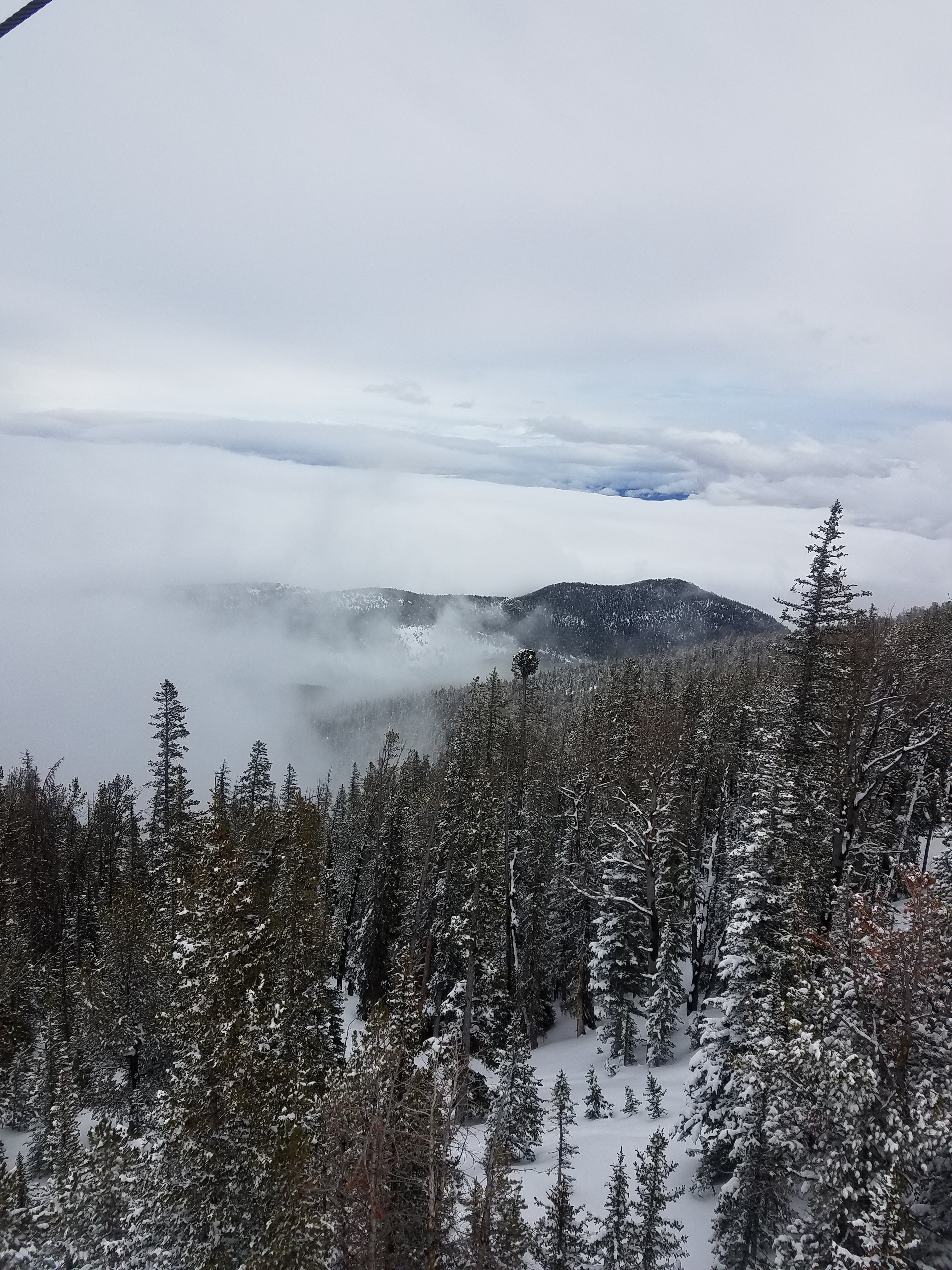 20180412_142448.jpg