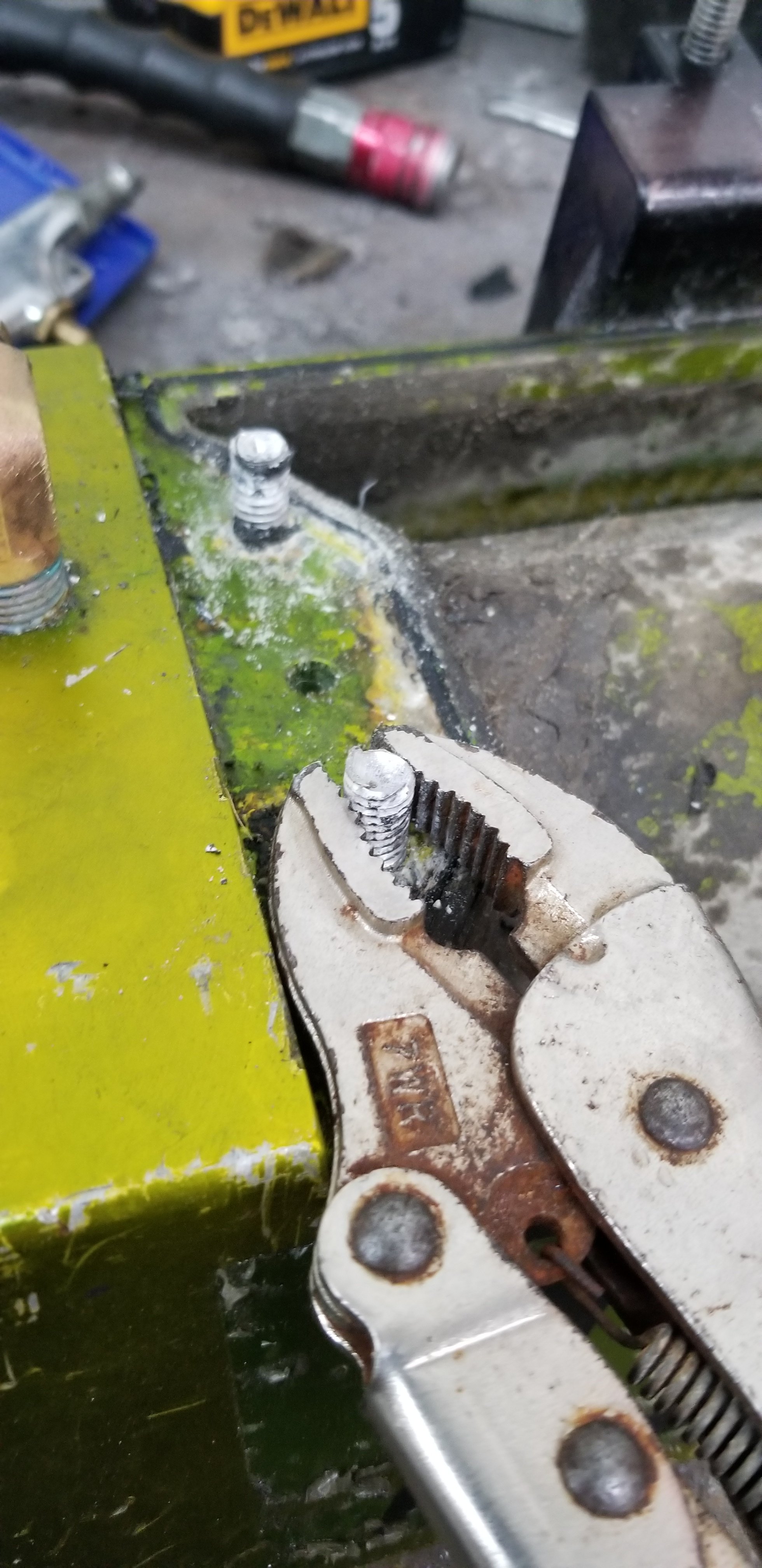 20180417_092228.jpg