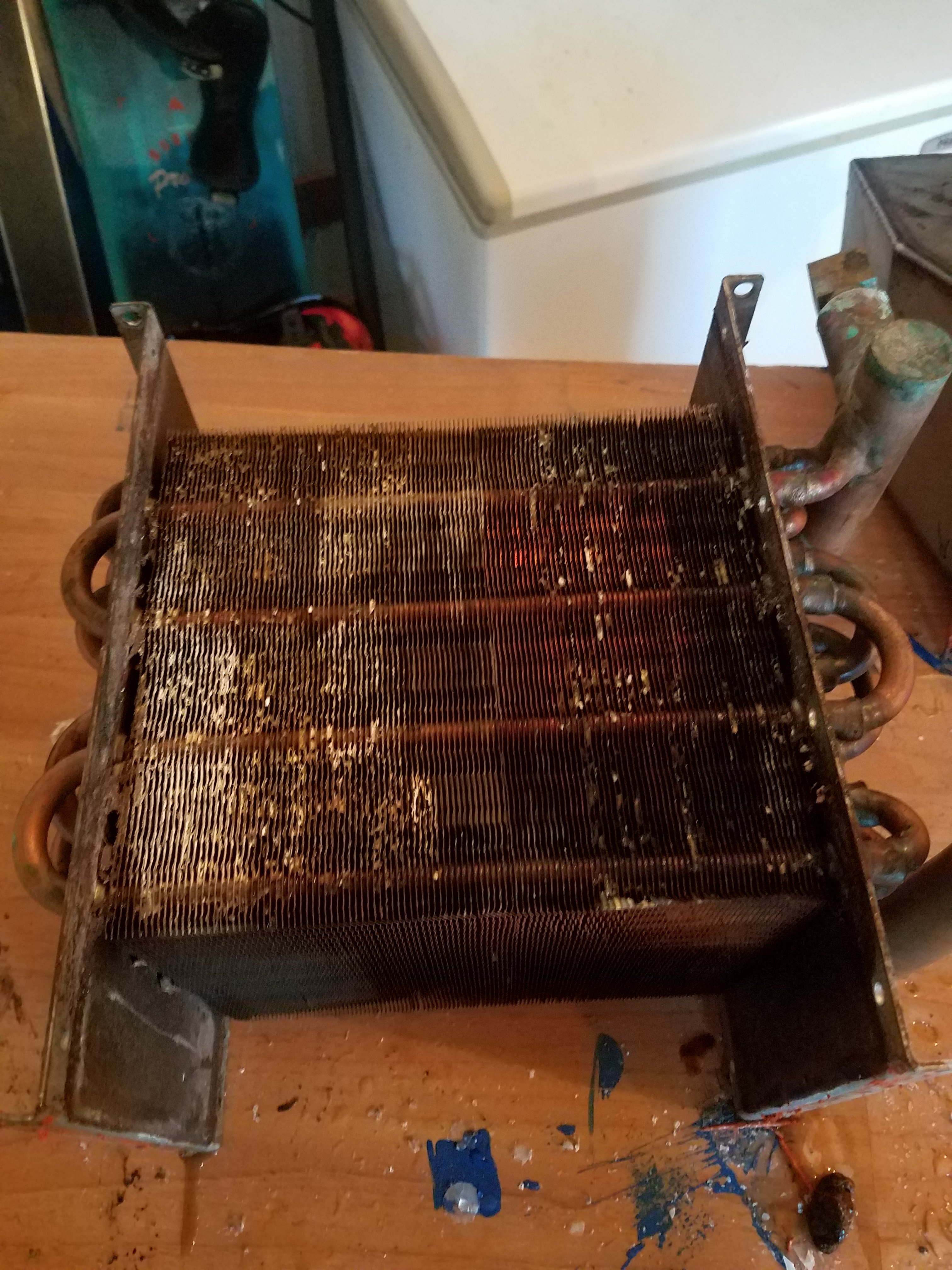 20180420_184615.jpg