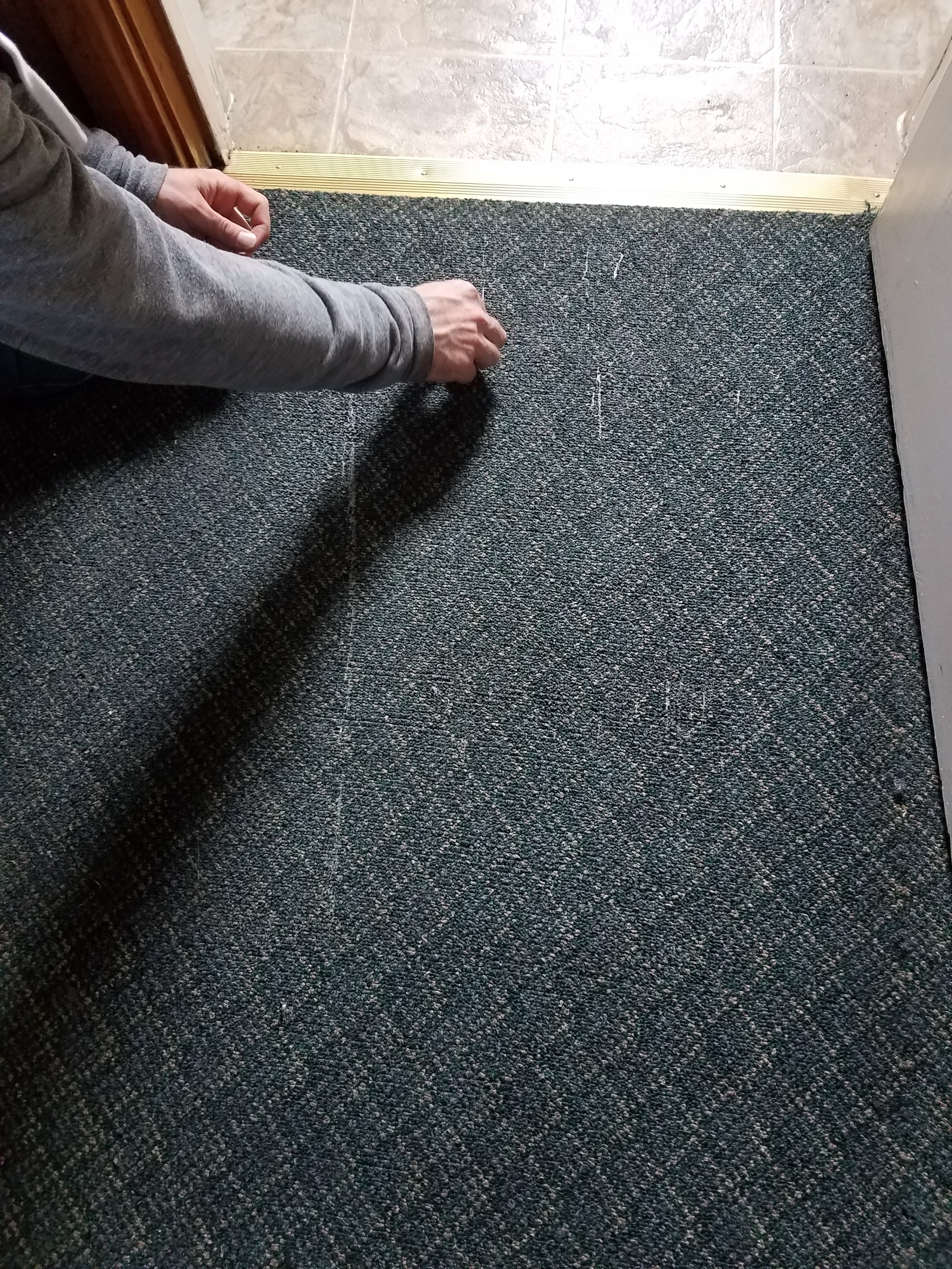 20180428_111045.jpg