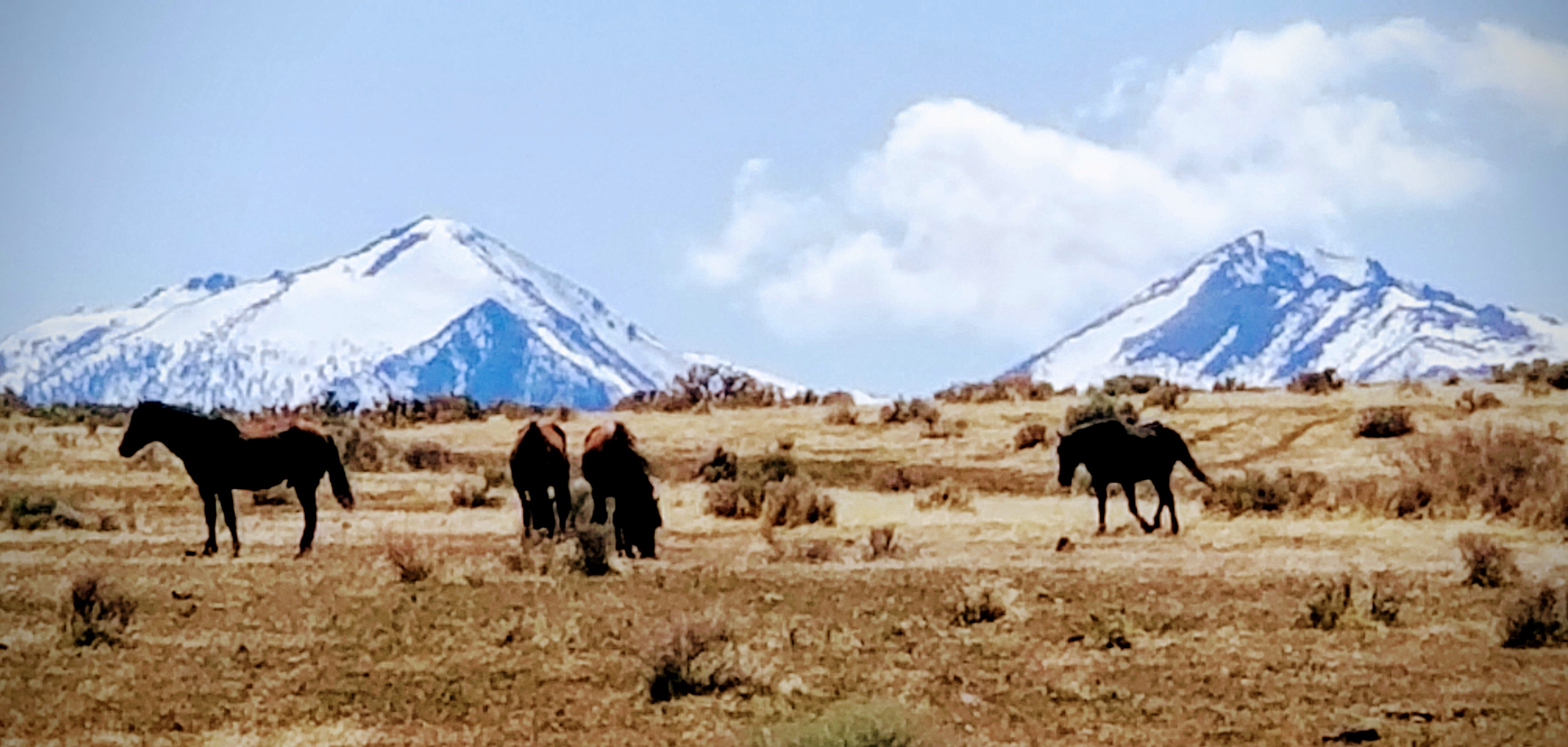 20180428_151226~2.jpg