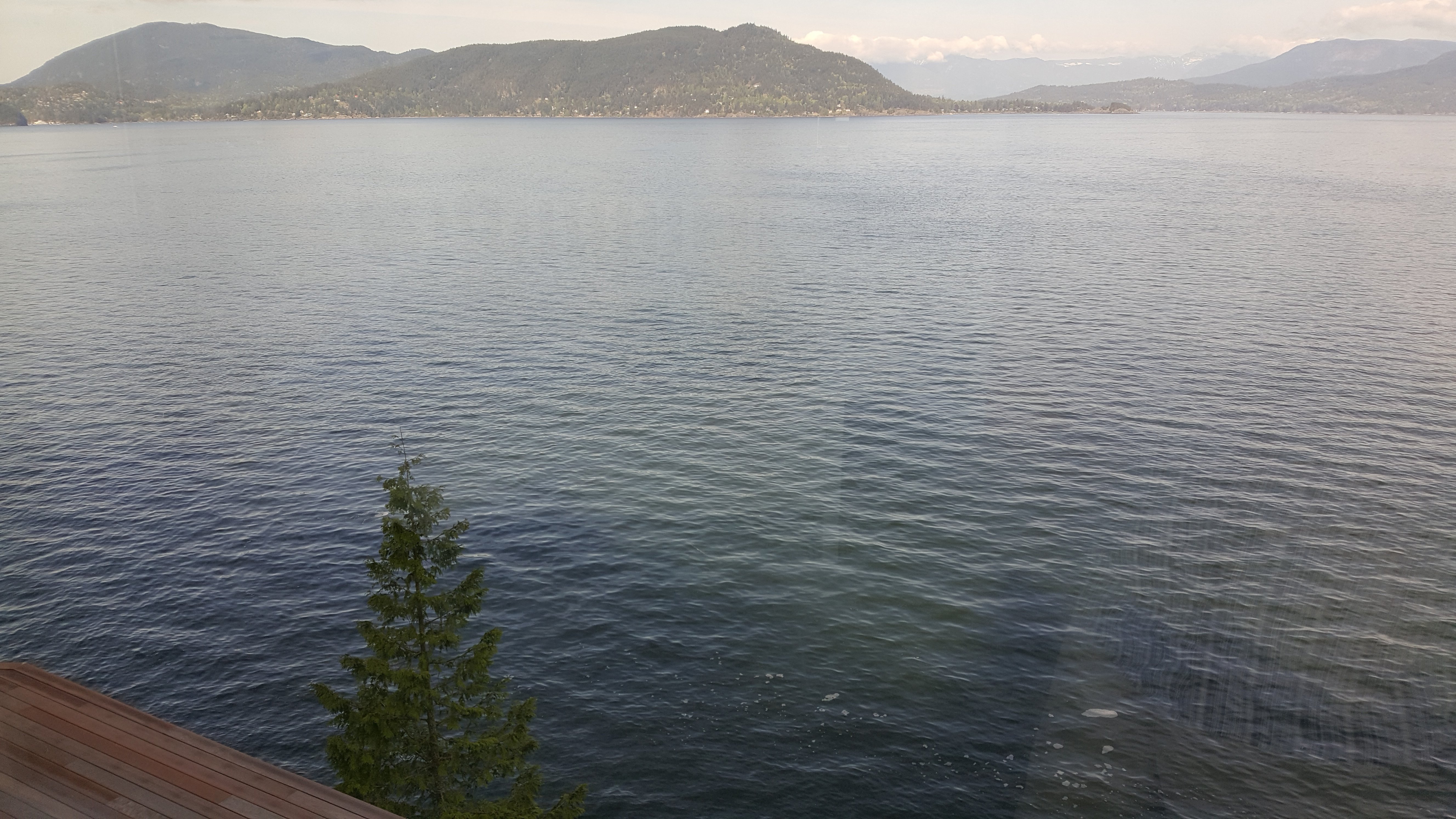 20180502_093036.jpg