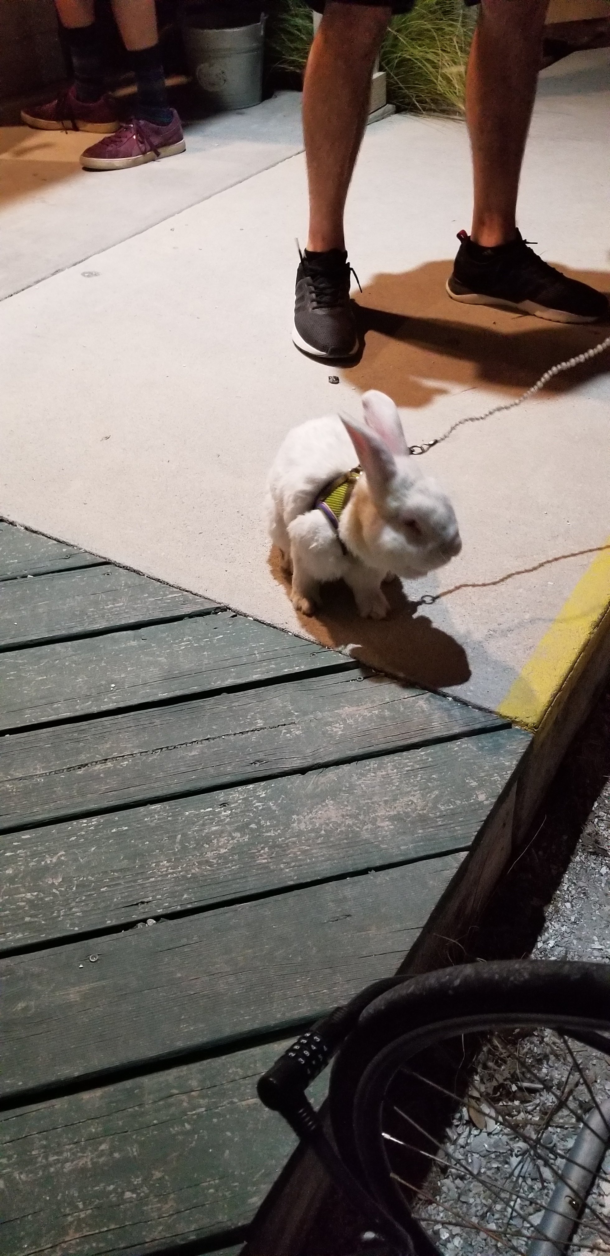 20180511_212339.jpg