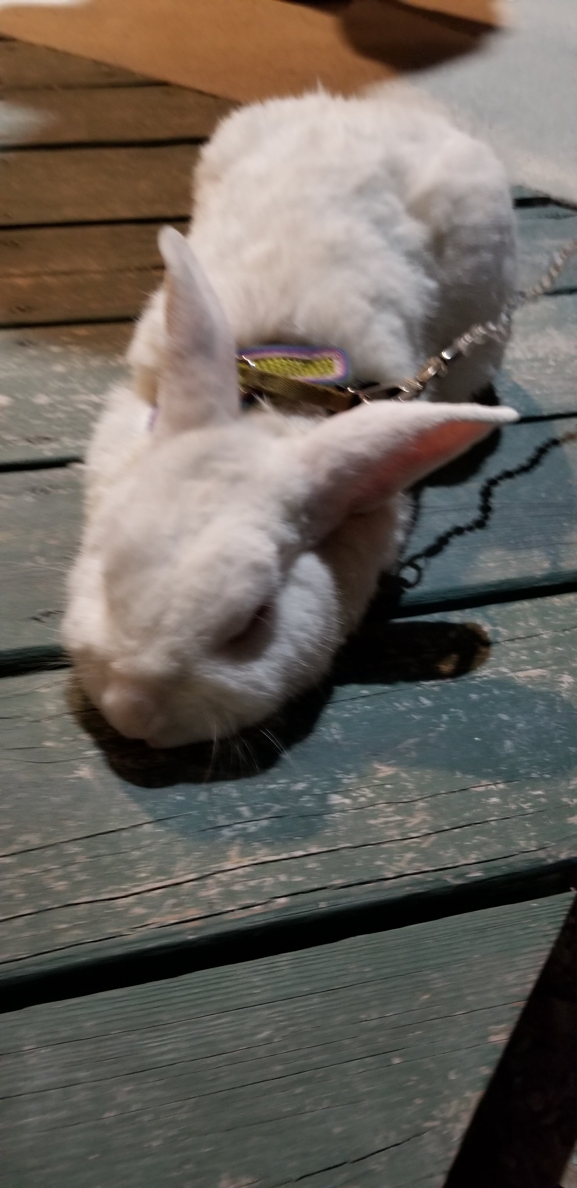 20180511_212434.jpg