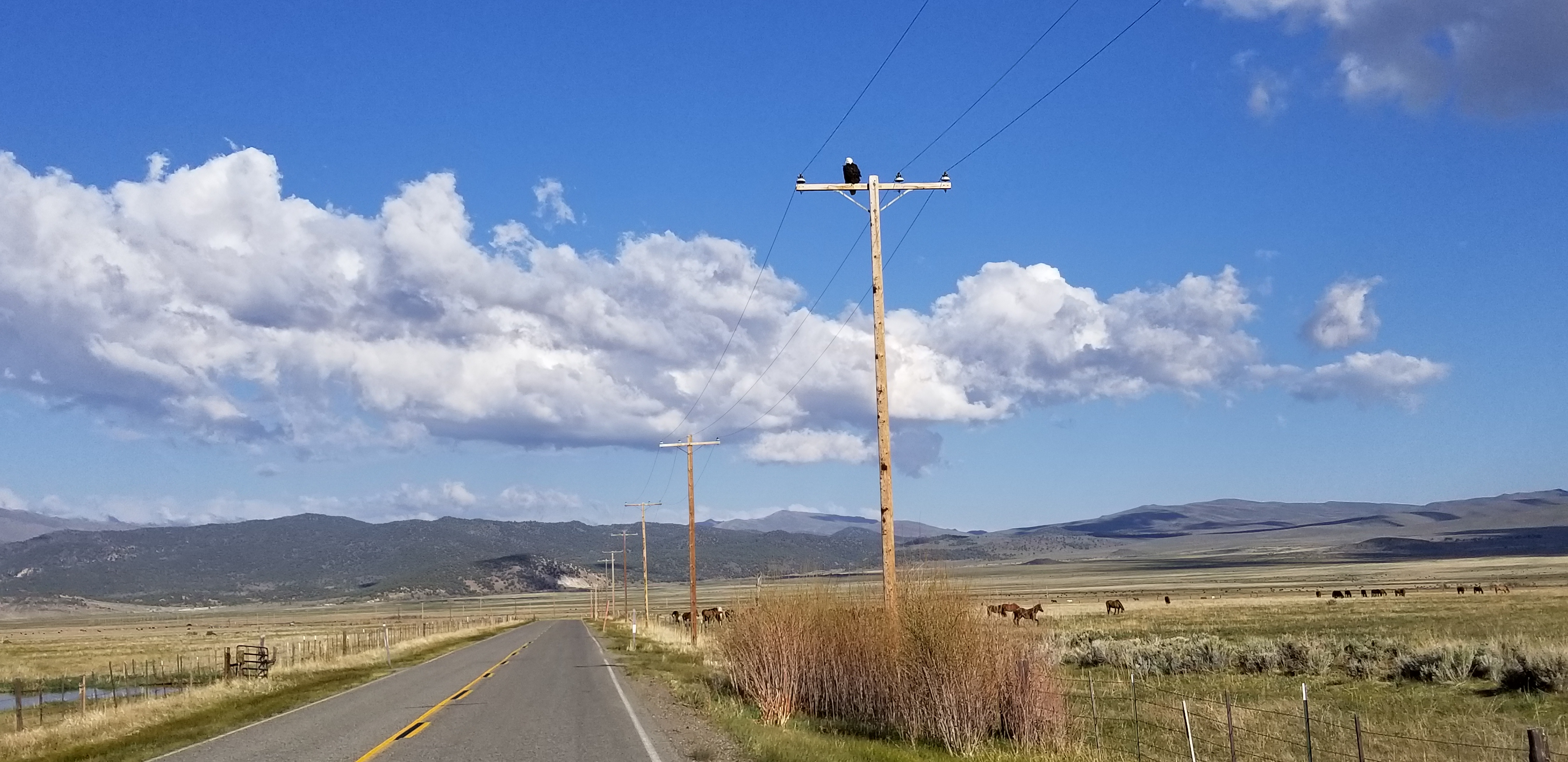 20180516_175339.jpg