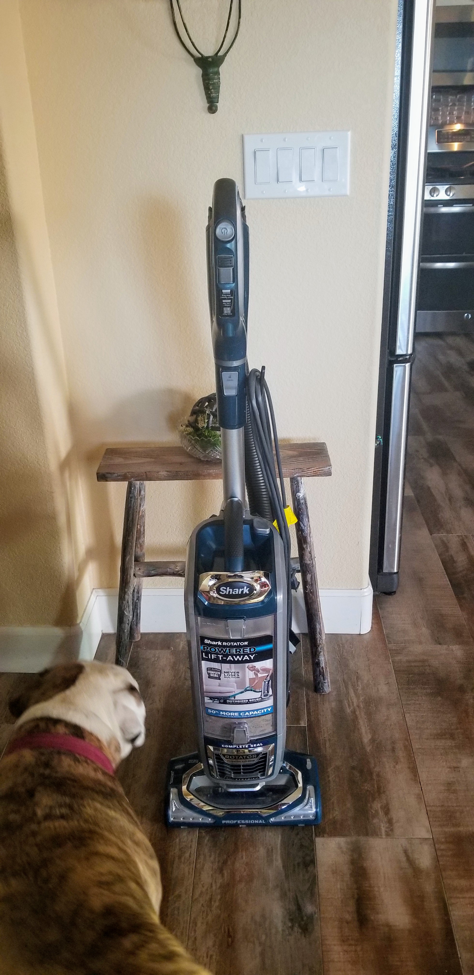 20180519_184312.jpg