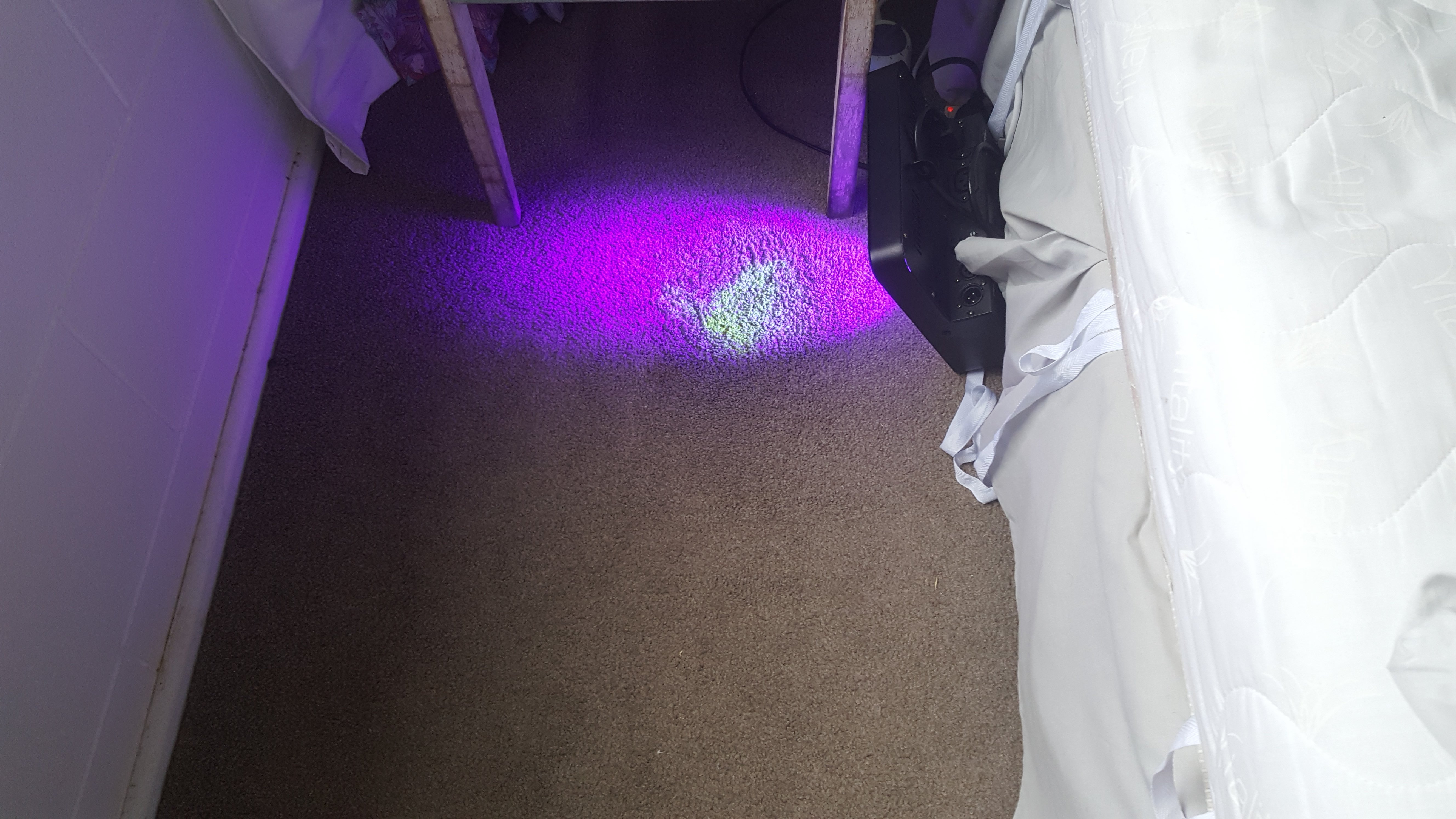 20180620_105036.jpg