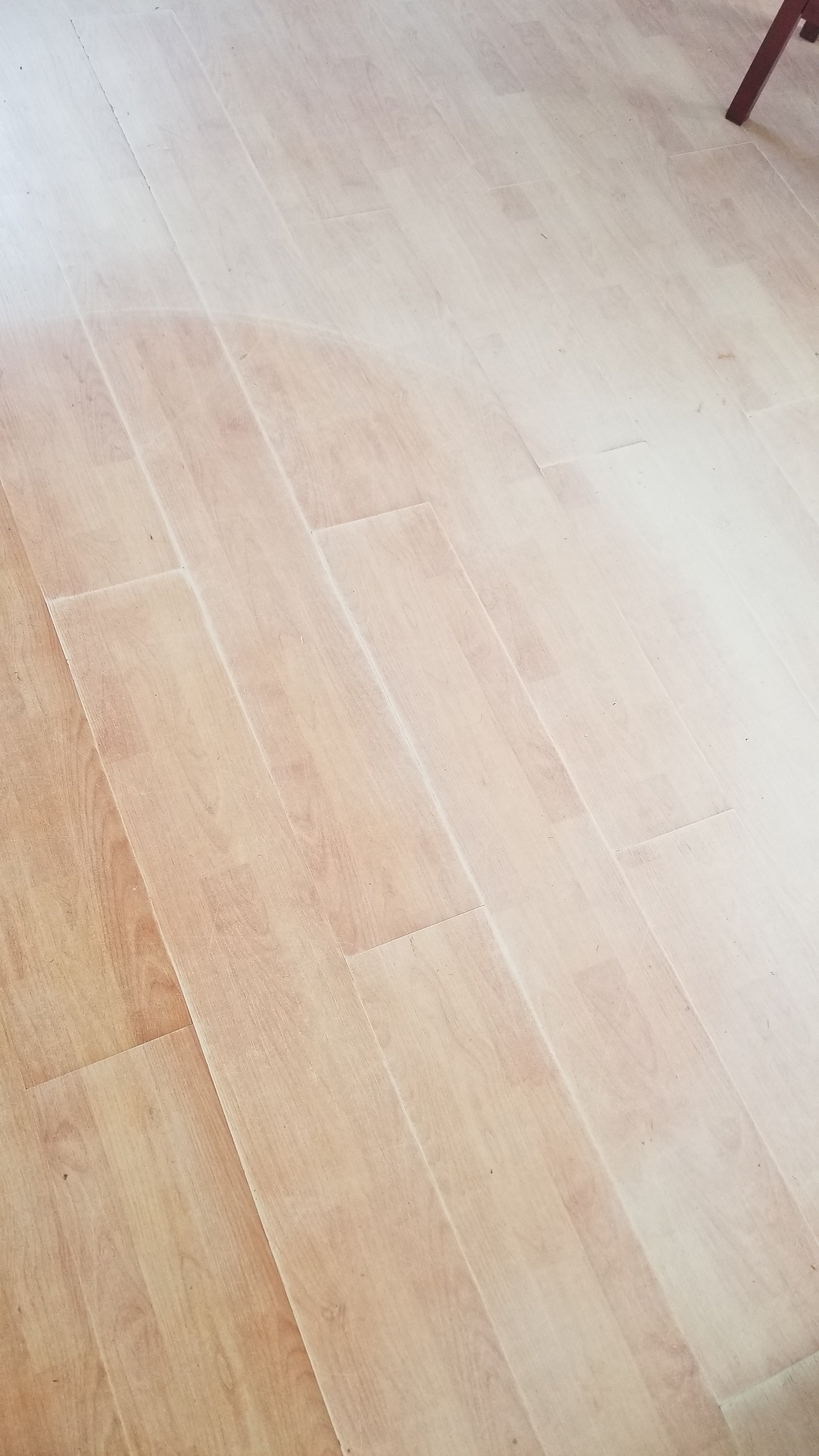 20181023_101538.jpg
