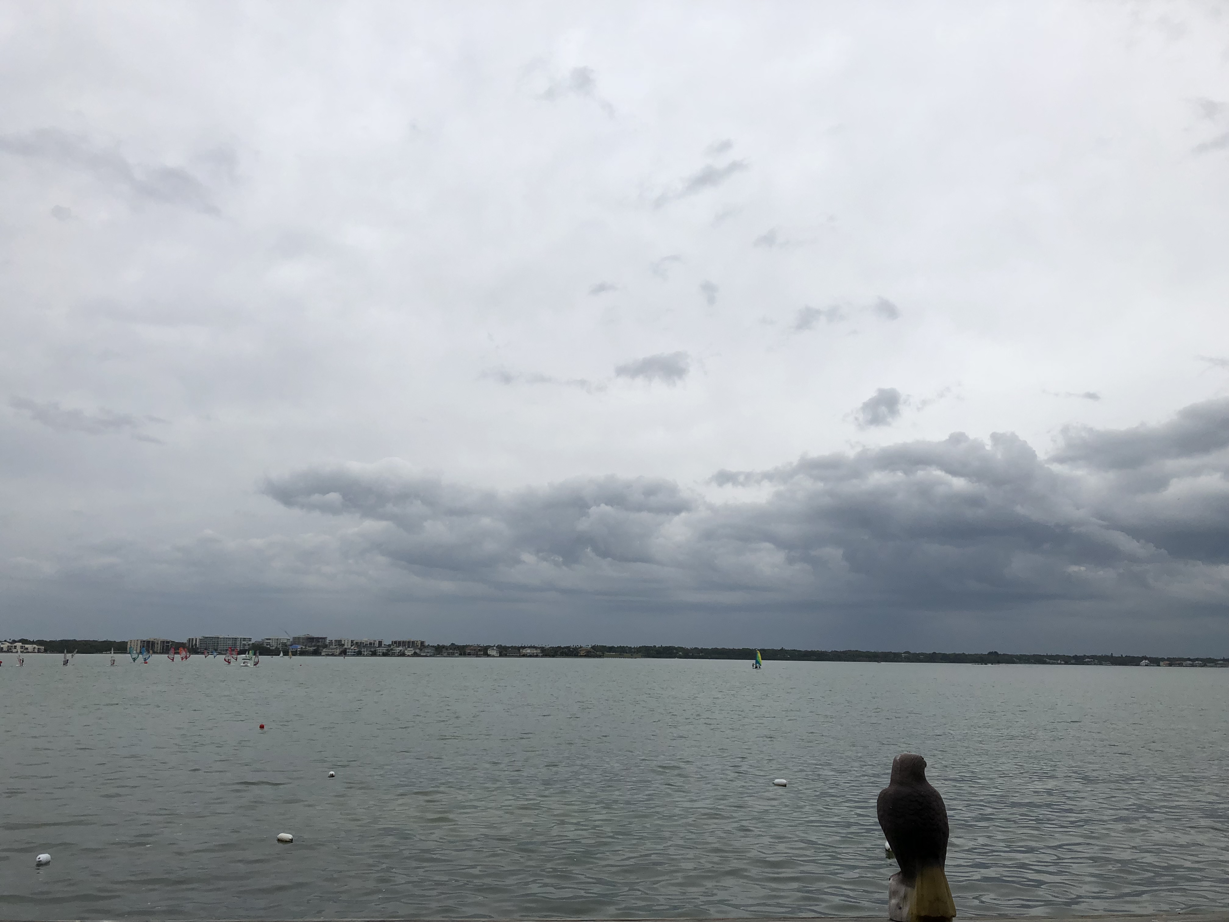 57FE2CB4-1708-4796-B0C5-40DE8B873906.jpeg