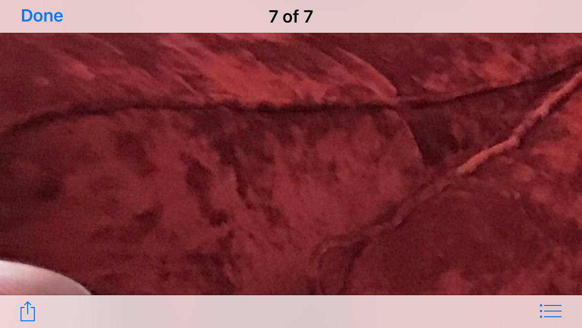 64965878-CD82-4442-884D-58B51A0C887C.png