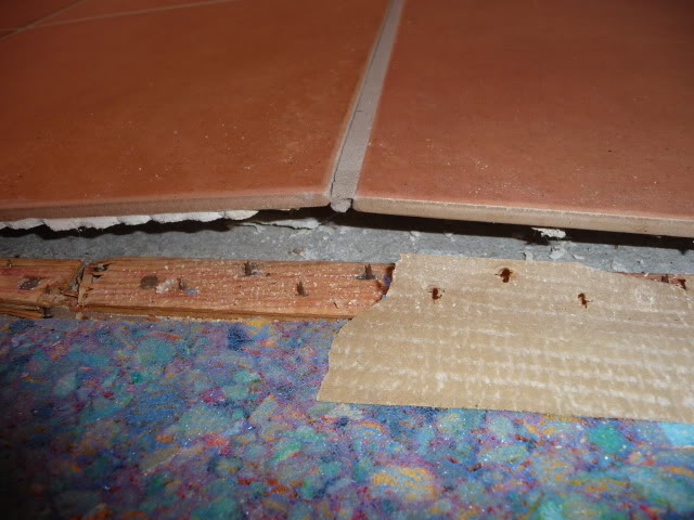 916b8cc4.jpg