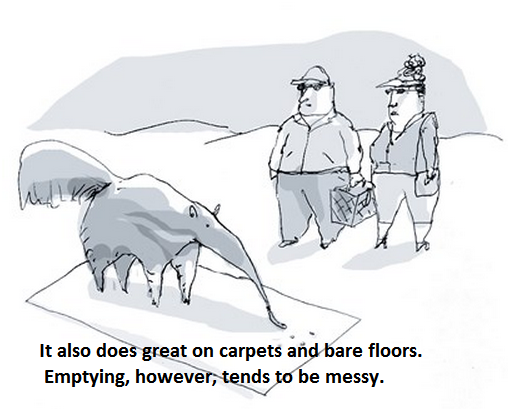 aardvark_zpsdc6e487a.png