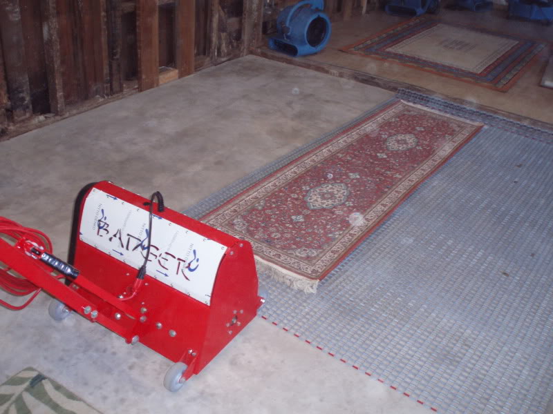 badger001.jpg