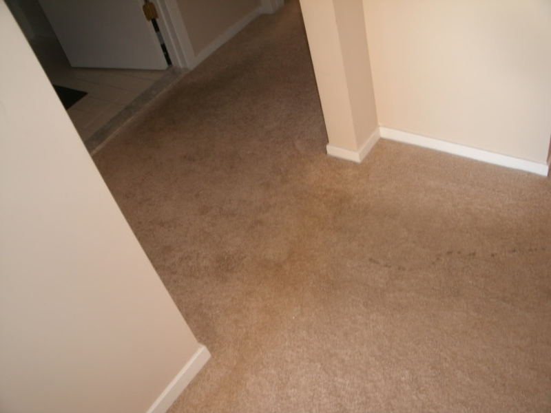 BeforeandAfterLateMayandJune067.jpg