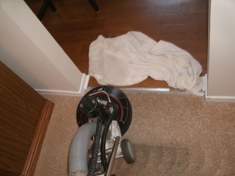 BeforeandAfterLateMayandJune081.jpg