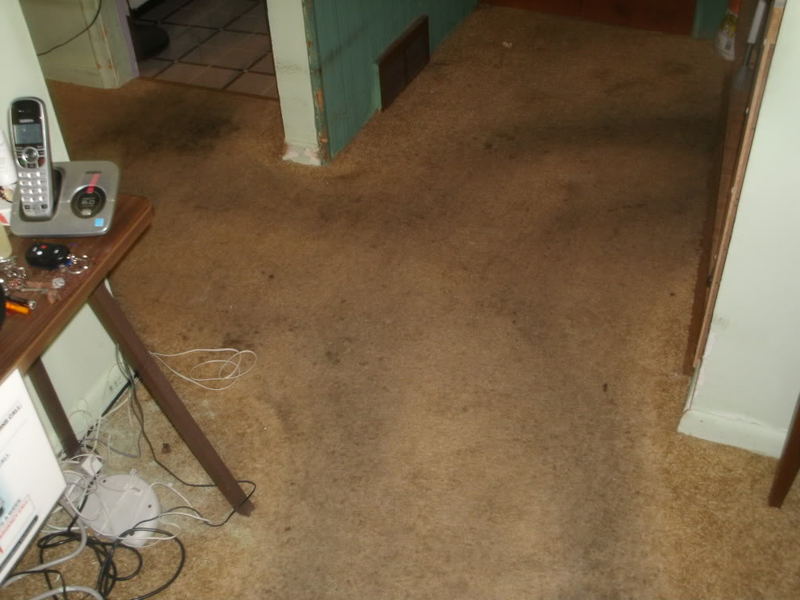 BeforeandAfterMidJune009.jpg