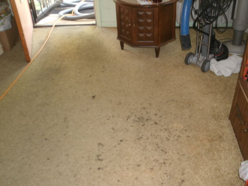 BeforeandAfterMidJune010.jpg